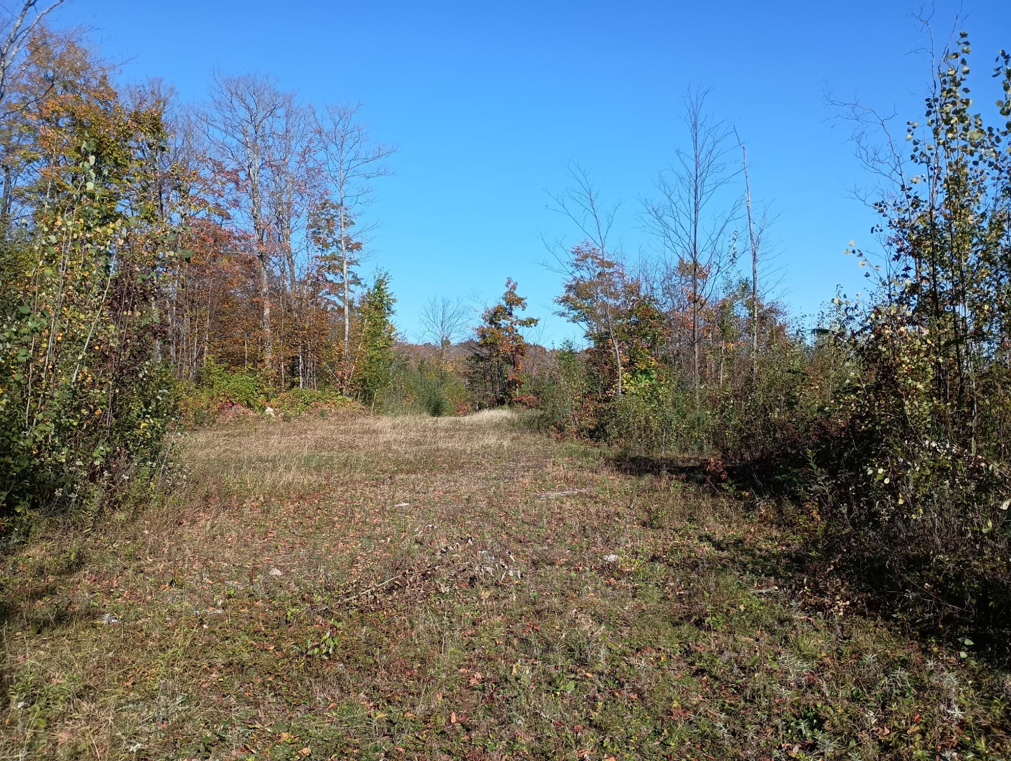 ON KORNSTEAD RD 80 ac