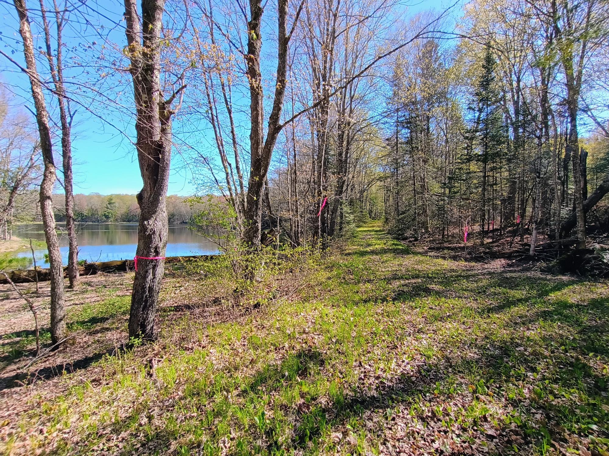 40 AC ON NIG REIN RD +/- 40 ac