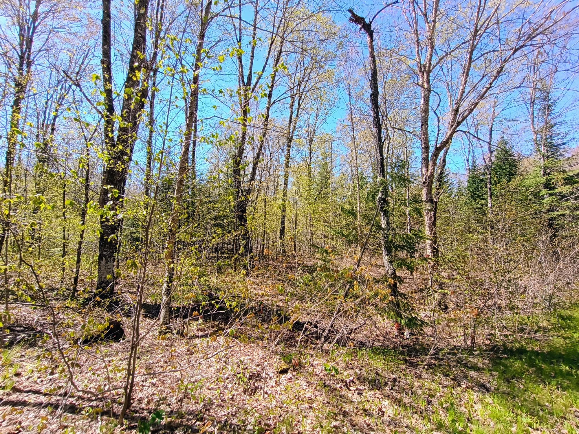 40 AC ON NIG REIN RD +/- 40 ac