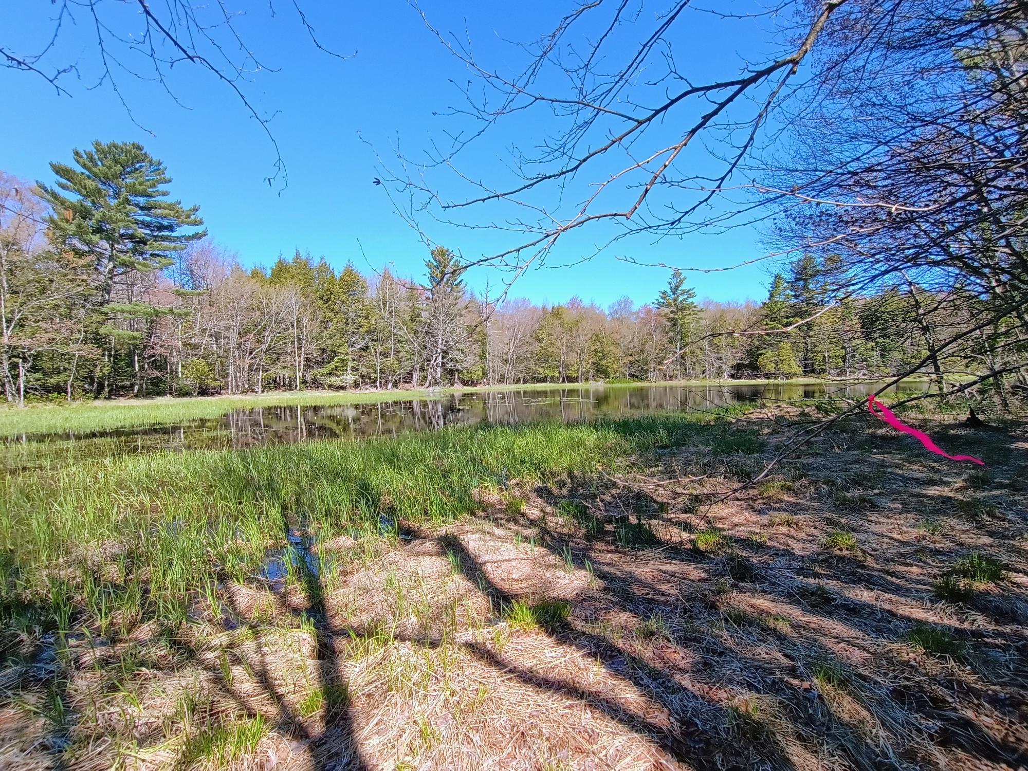 40 AC ON NIG REIN RD +/- 40 ac