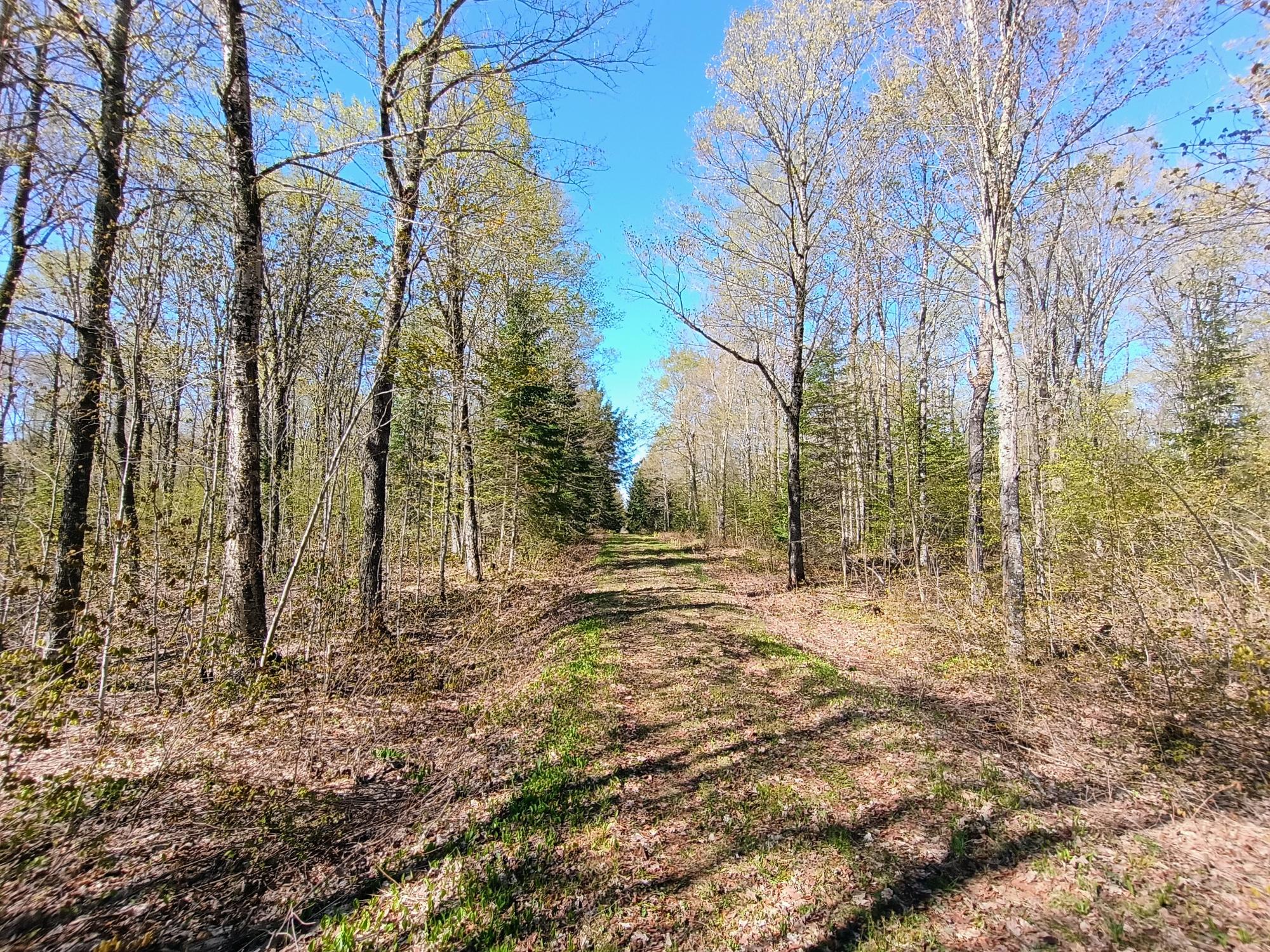 40 AC ON NIG REIN RD +/- 40 ac