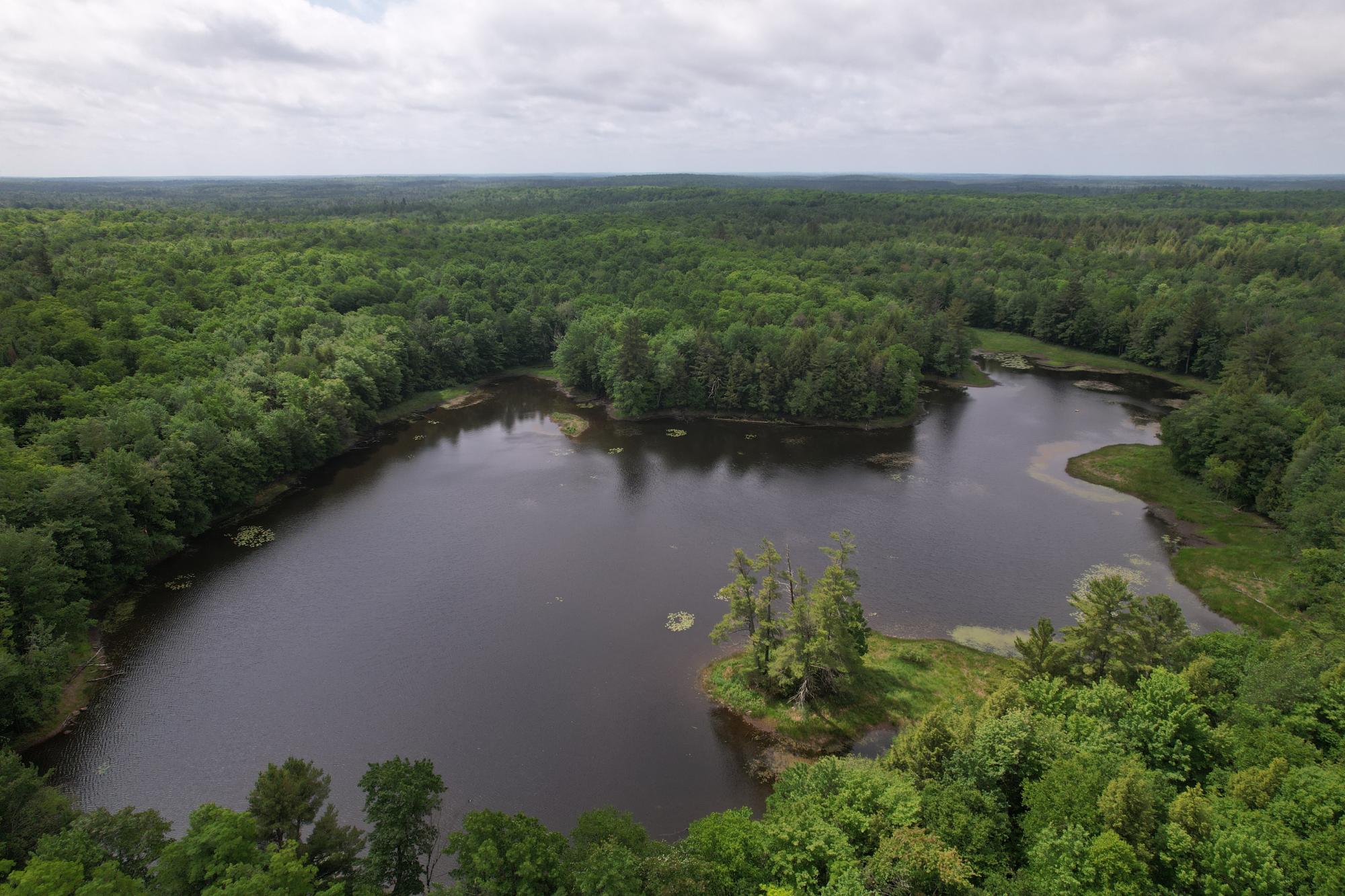 40 AC ON NIG REIN RD +/- 40 ac