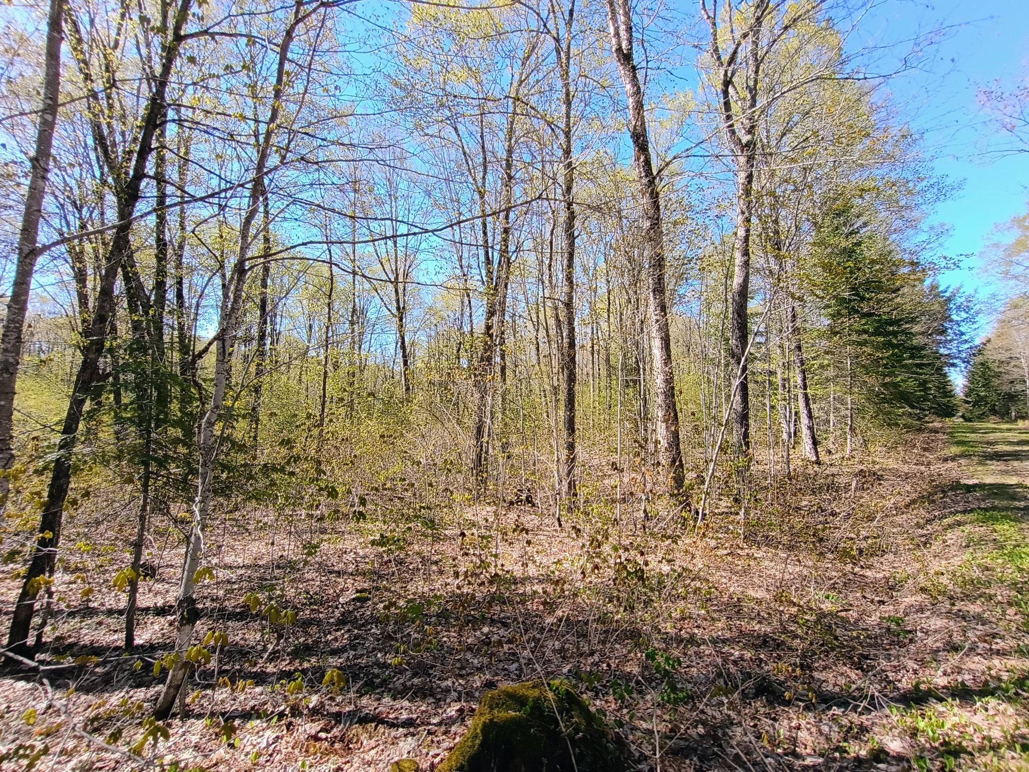40 AC ON NIG REIN RD +/- 40 ac