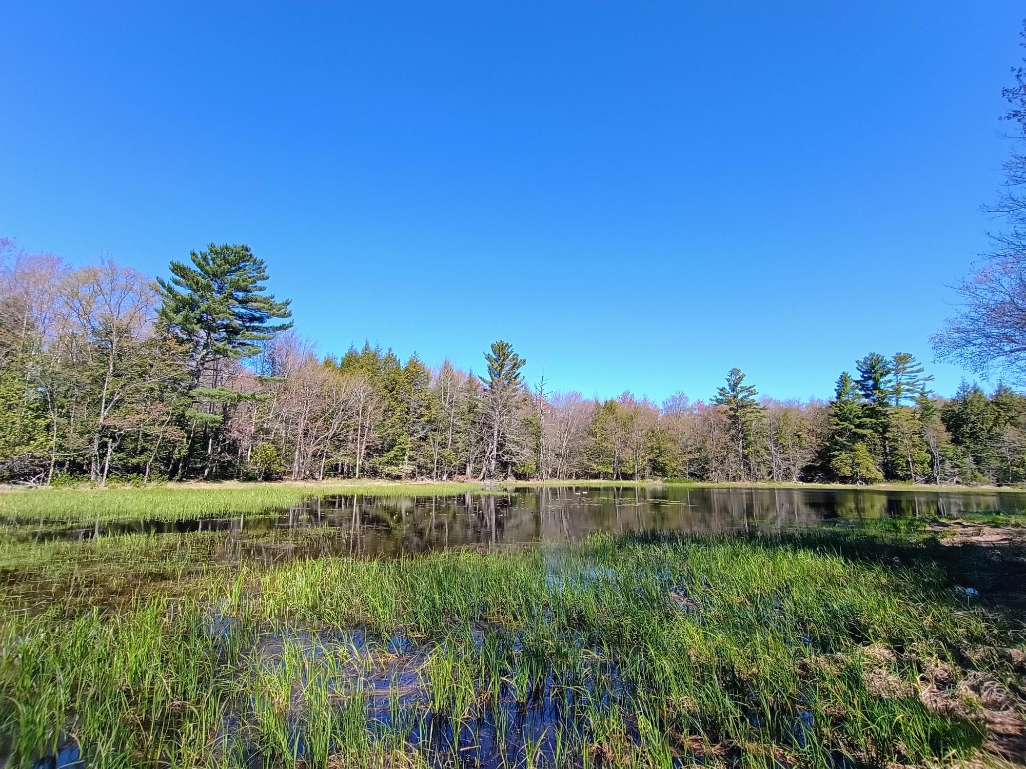 40 AC ON NIG REIN RD +/- 40 ac