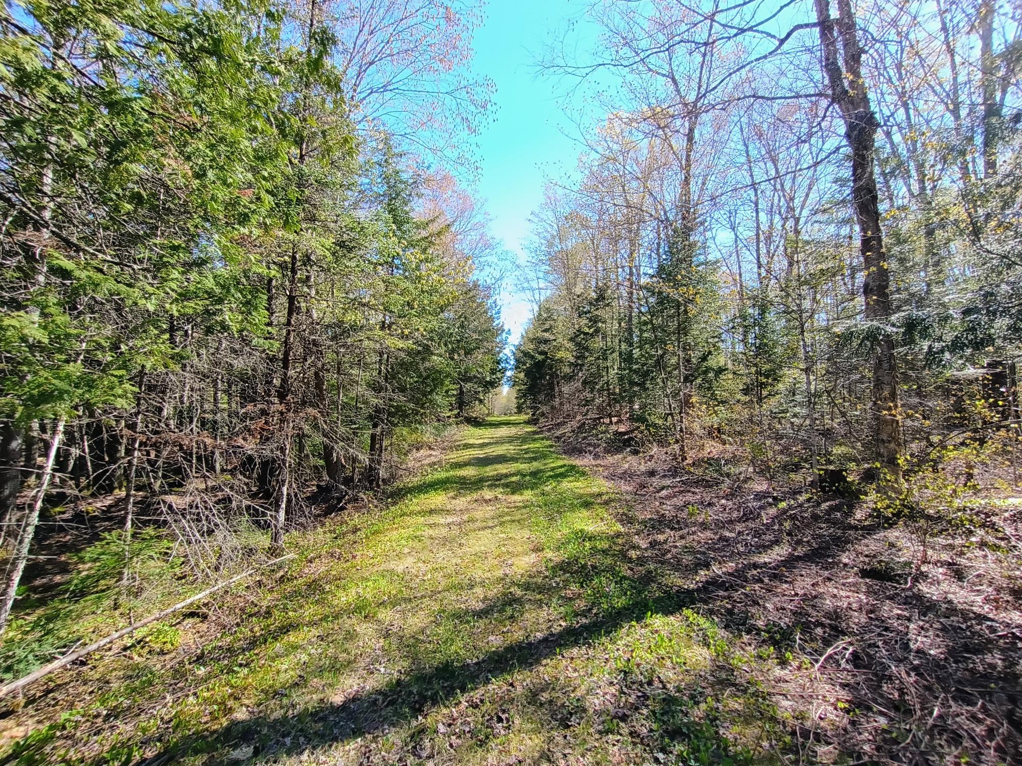 40 AC ON NIG REIN RD +/- 40 ac