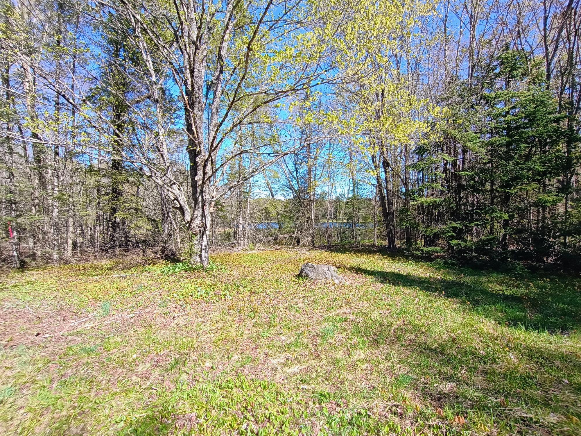 40 AC ON NIG REIN RD +/- 40 ac