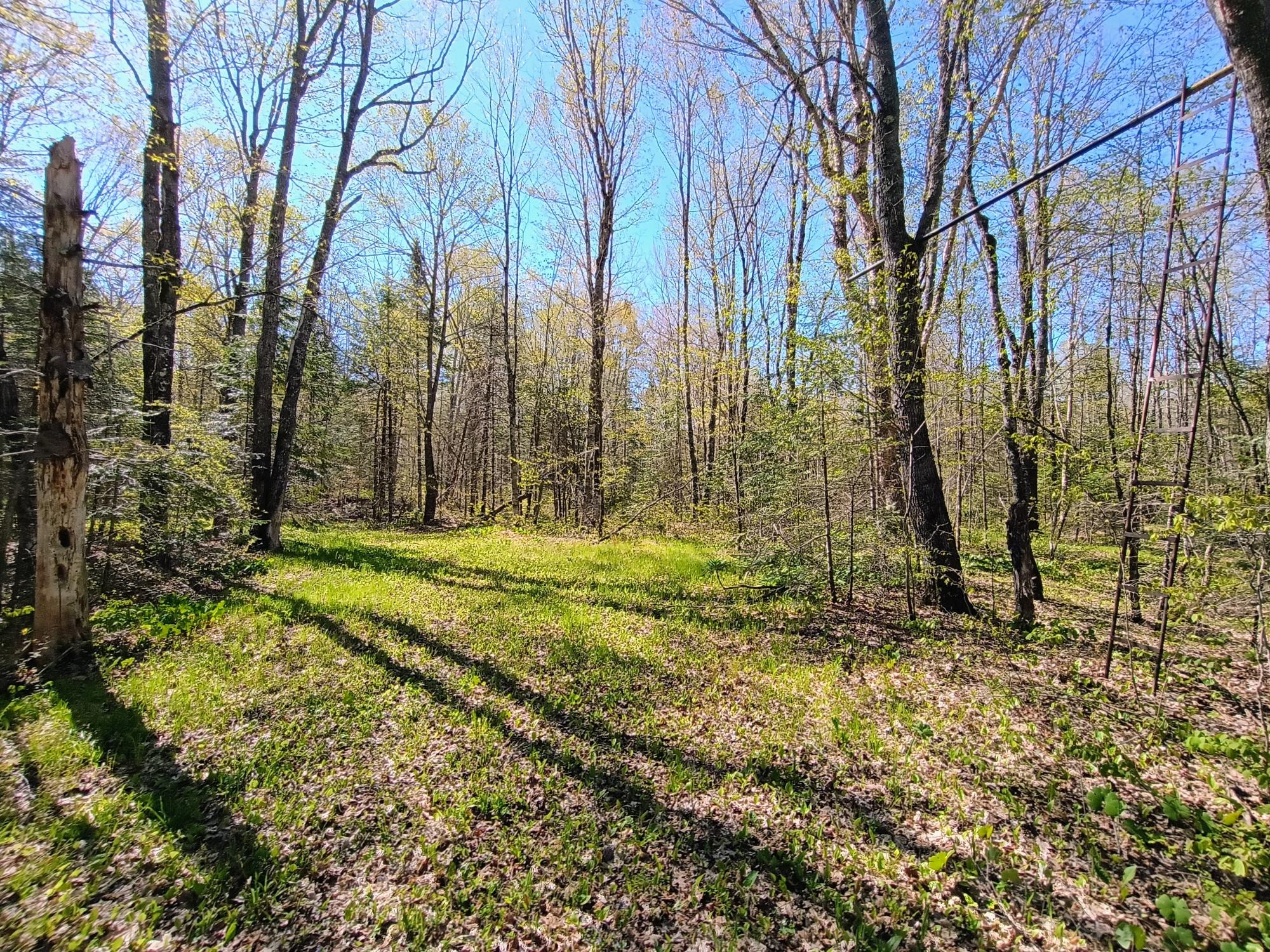 40 AC ON NIG REIN RD +/- 40 ac