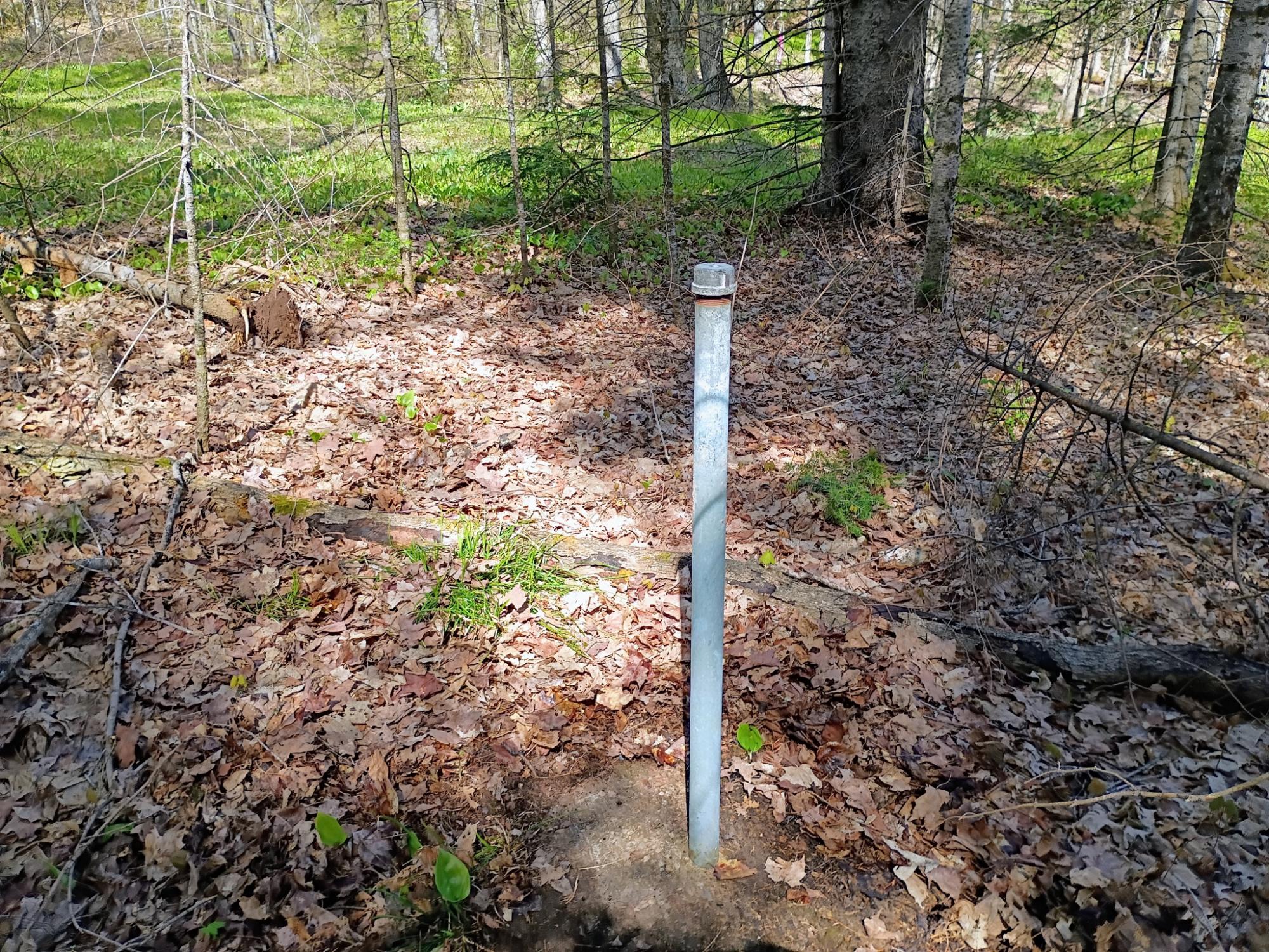 40 AC ON NIG REIN RD +/- 40 ac