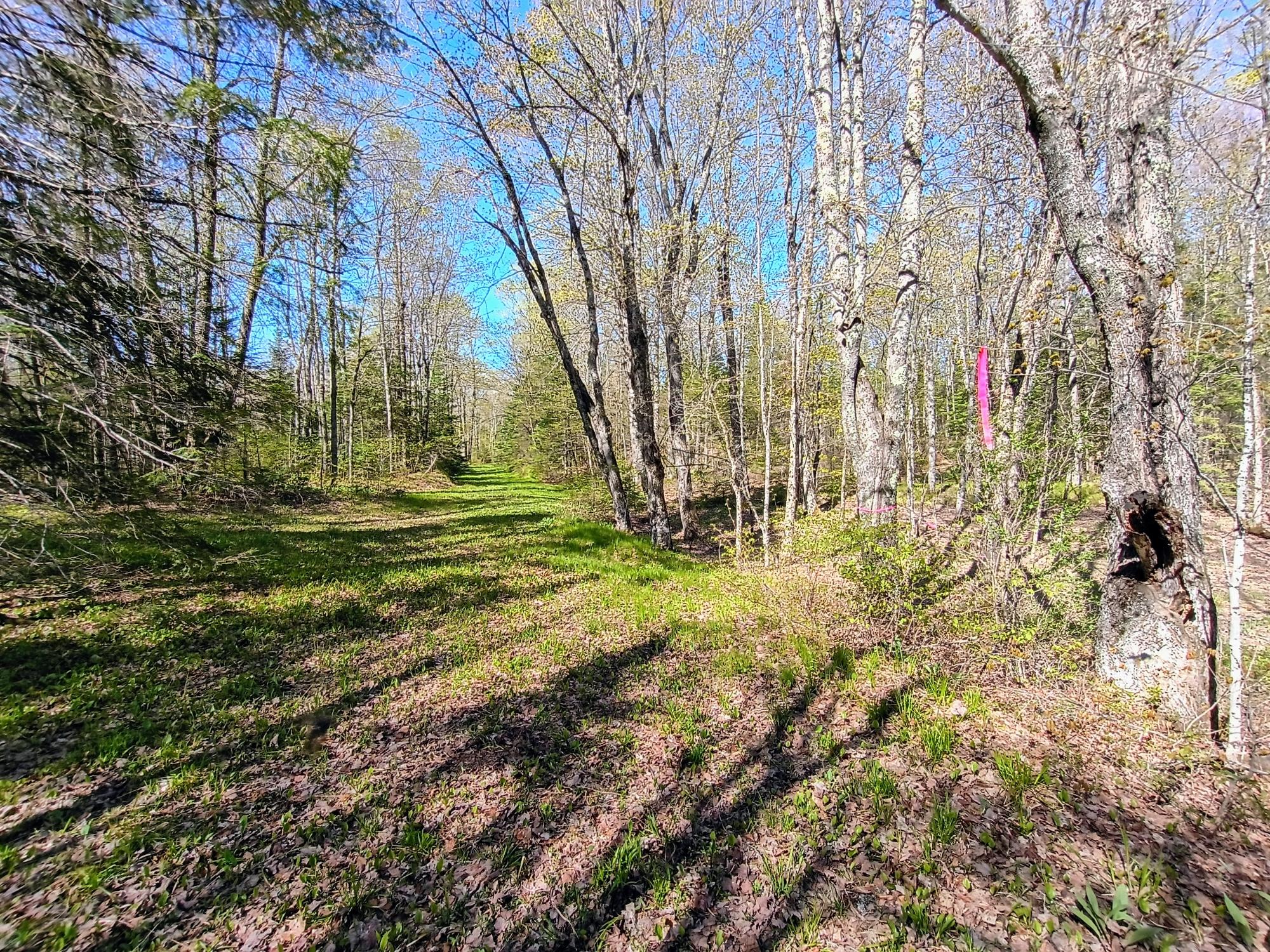 40 AC ON NIG REIN RD +/- 40 ac