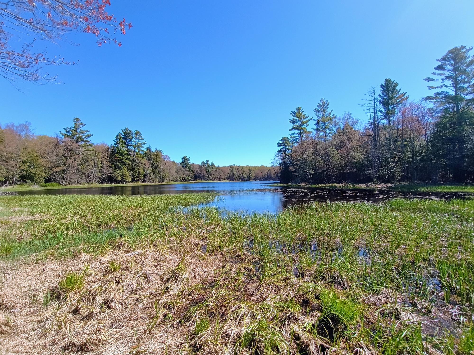 40 AC ON NIG REIN RD +/- 40 ac
