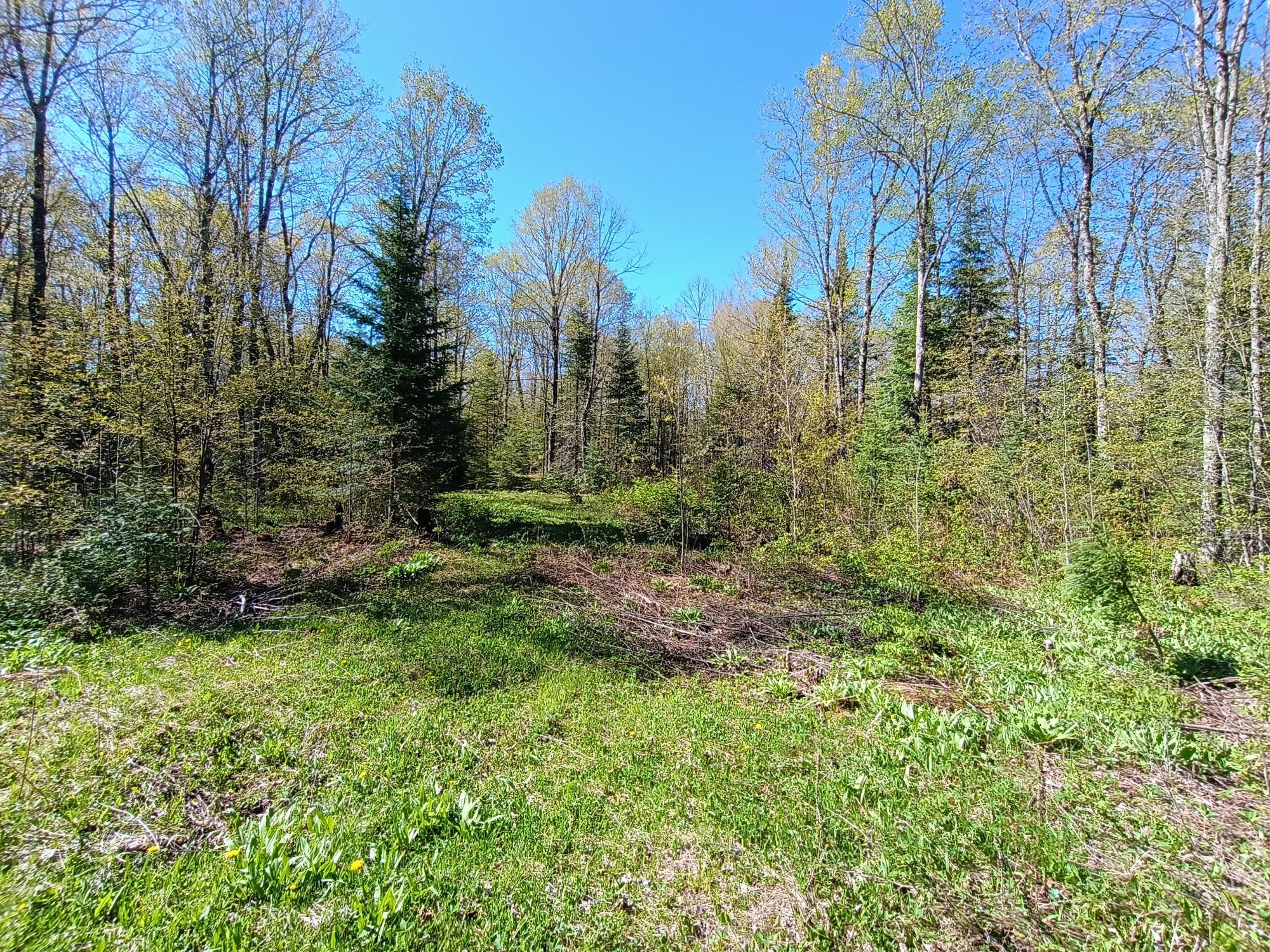 40 AC ON NIG REIN RD +/- 40 ac