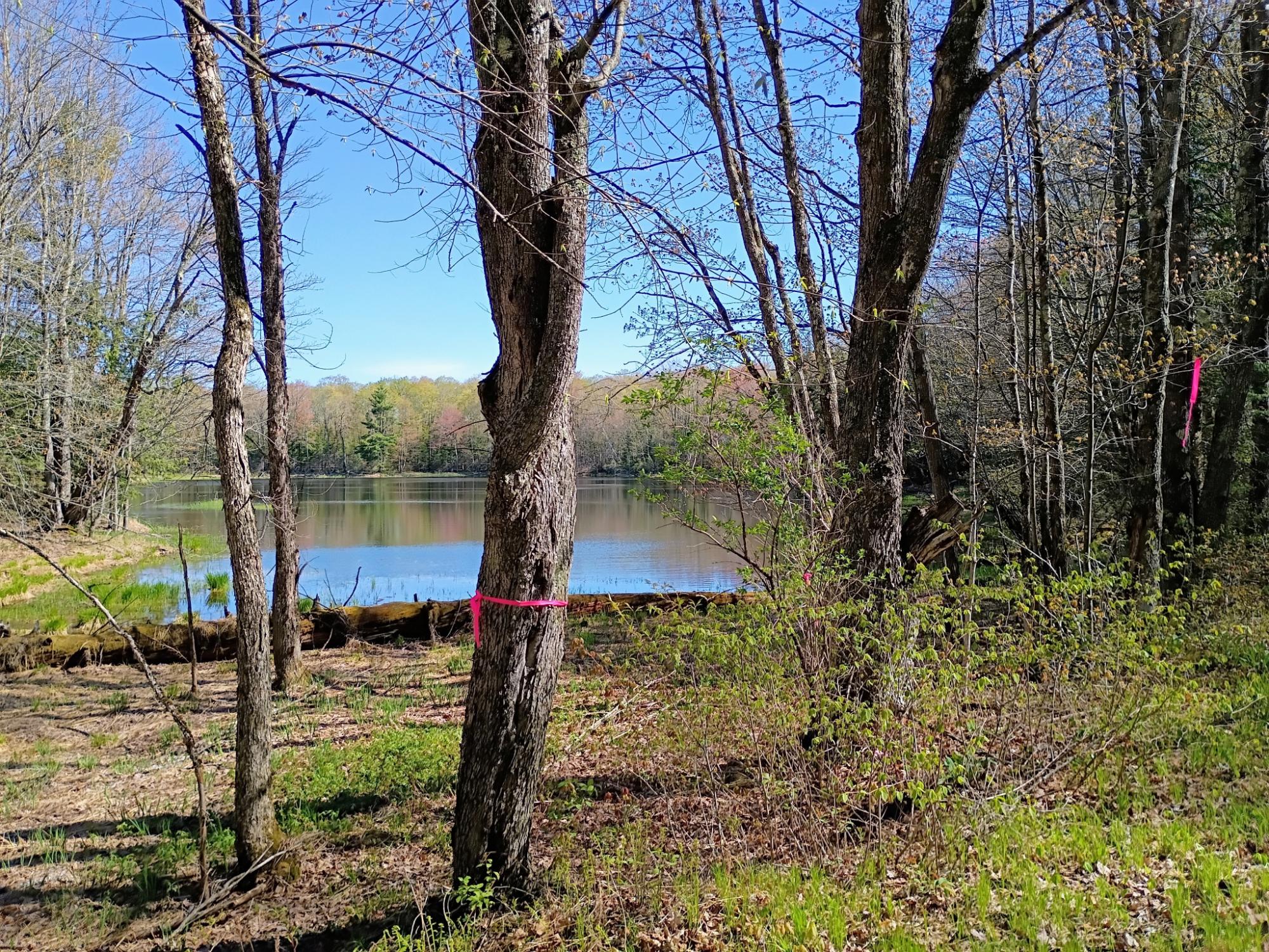 40 AC ON NIG REIN RD +/- 40 ac