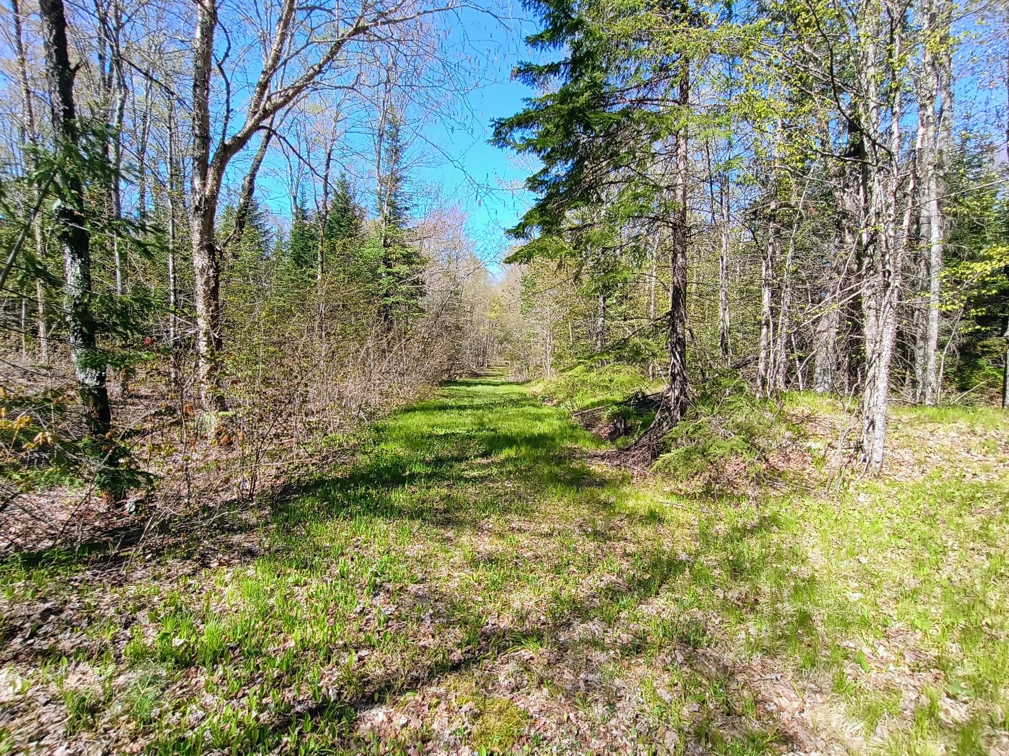 40 AC ON NIG REIN RD +/- 40 ac