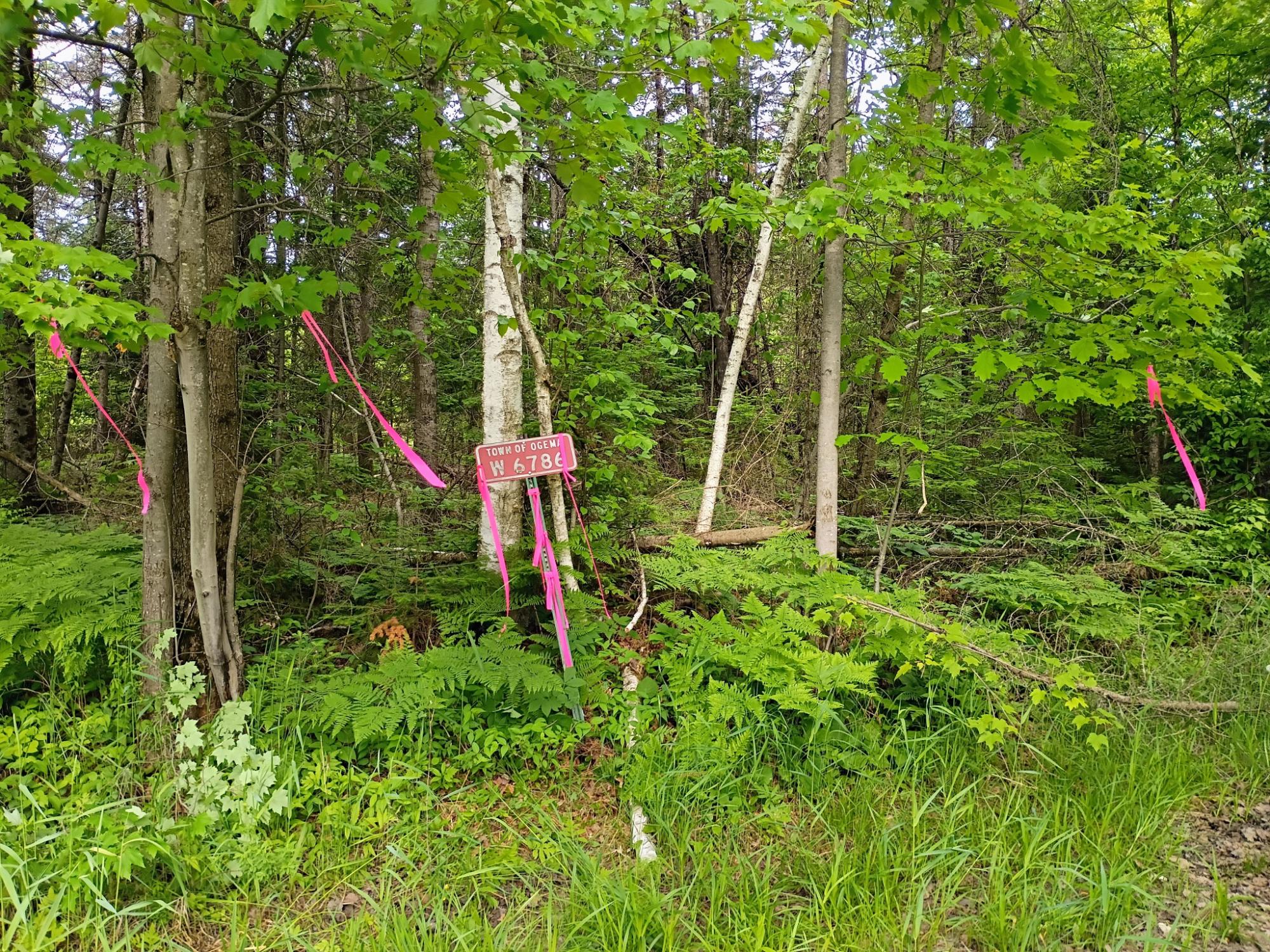 W6786 SILVER CREEK RD