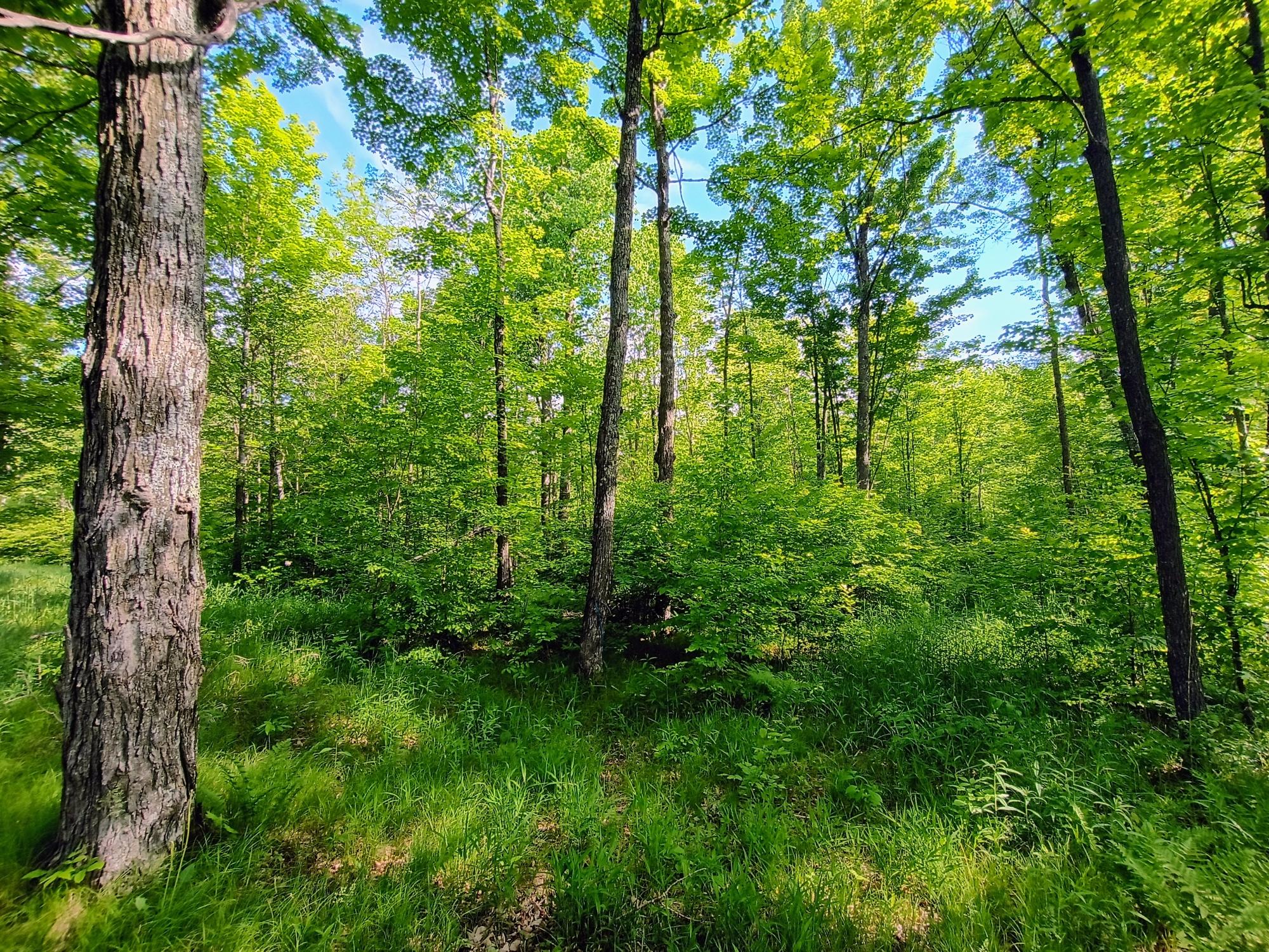 W6786 SILVER CREEK RD