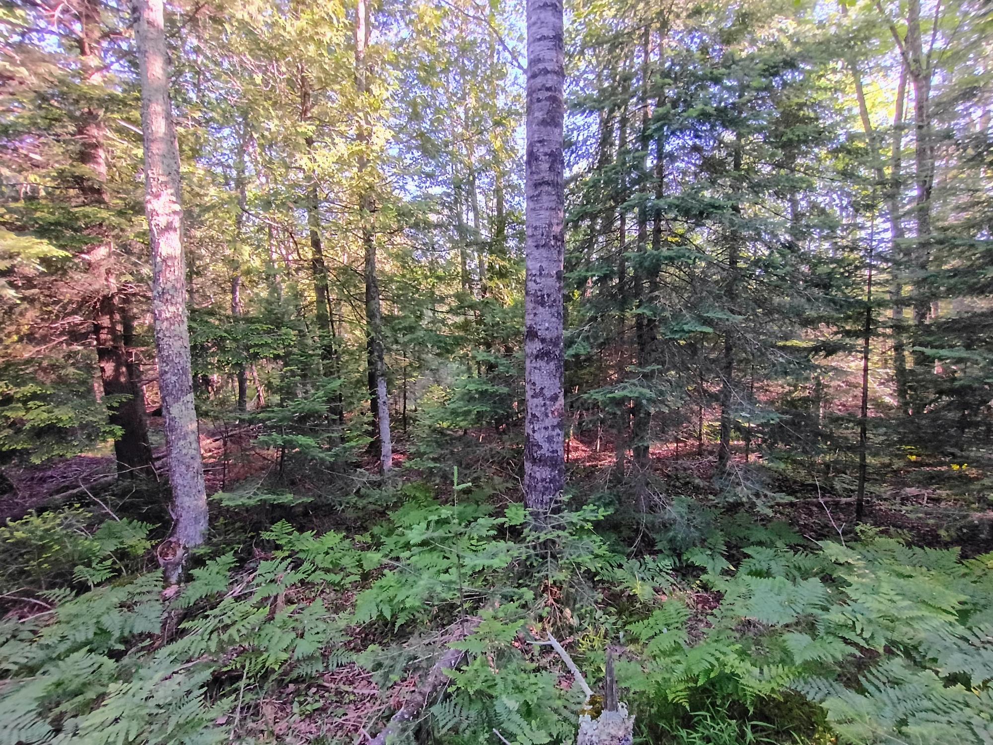58.36 AC OLD 13 RD +/- 58.36