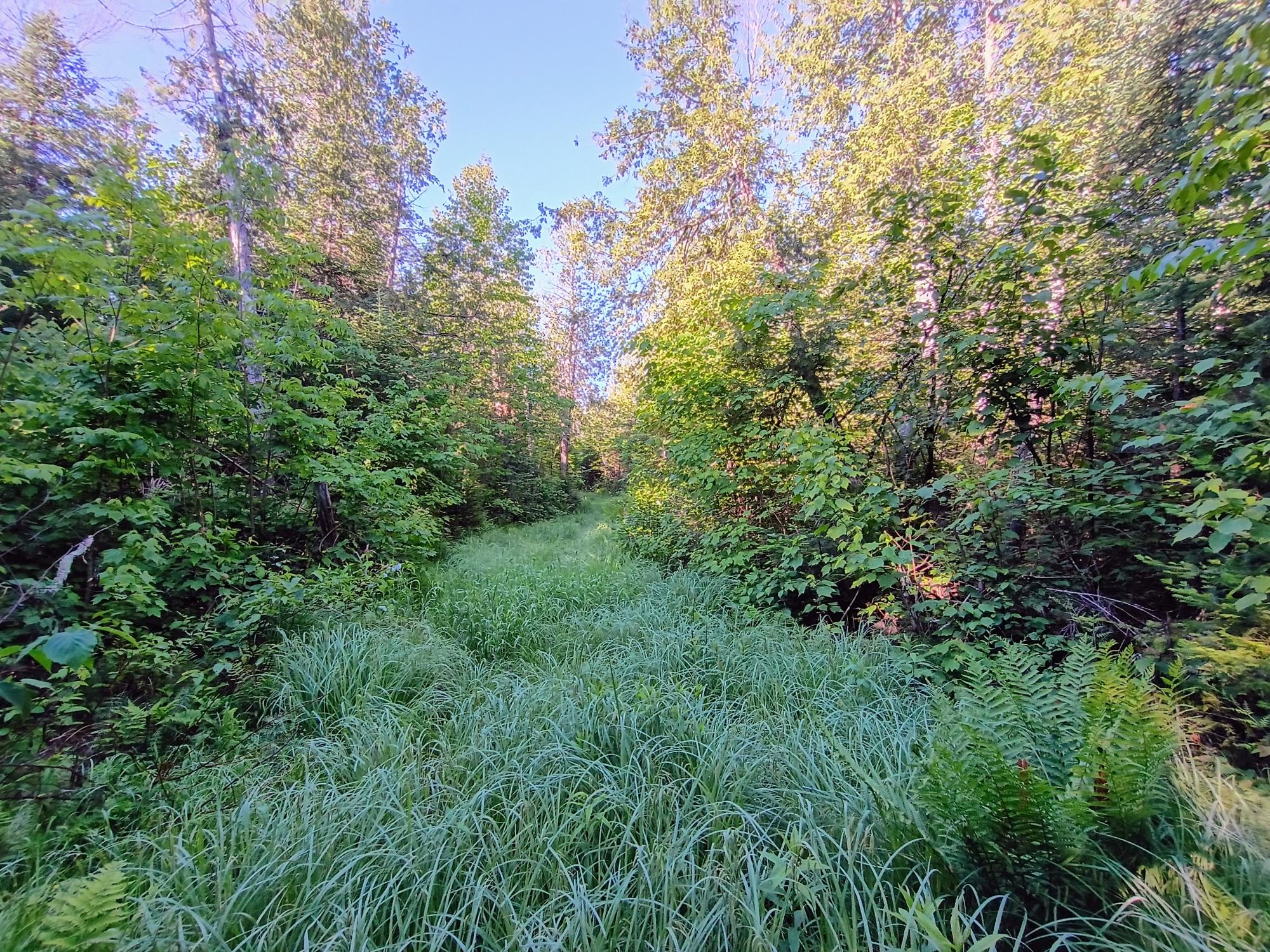 58.36 AC OLD 13 RD +/- 58.36