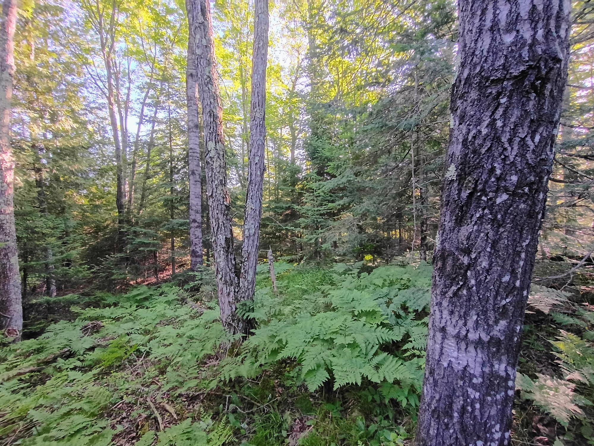 58.36 AC OLD 13 RD +/- 58.36