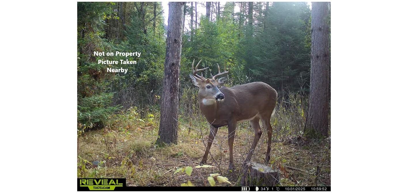 58.36 AC OLD 13 RD +/- 58.36