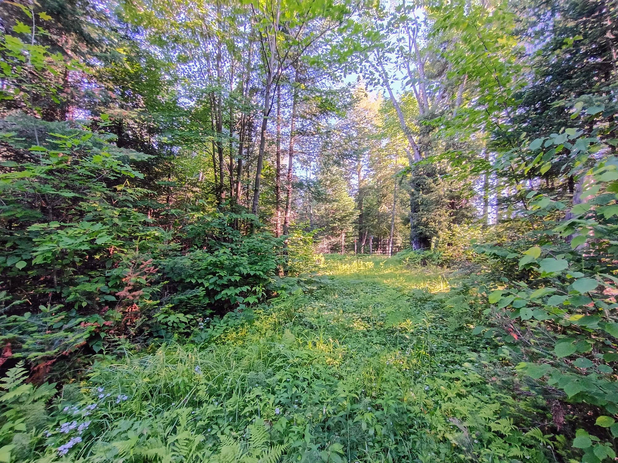 58.36 AC OLD 13 RD +/- 58.36