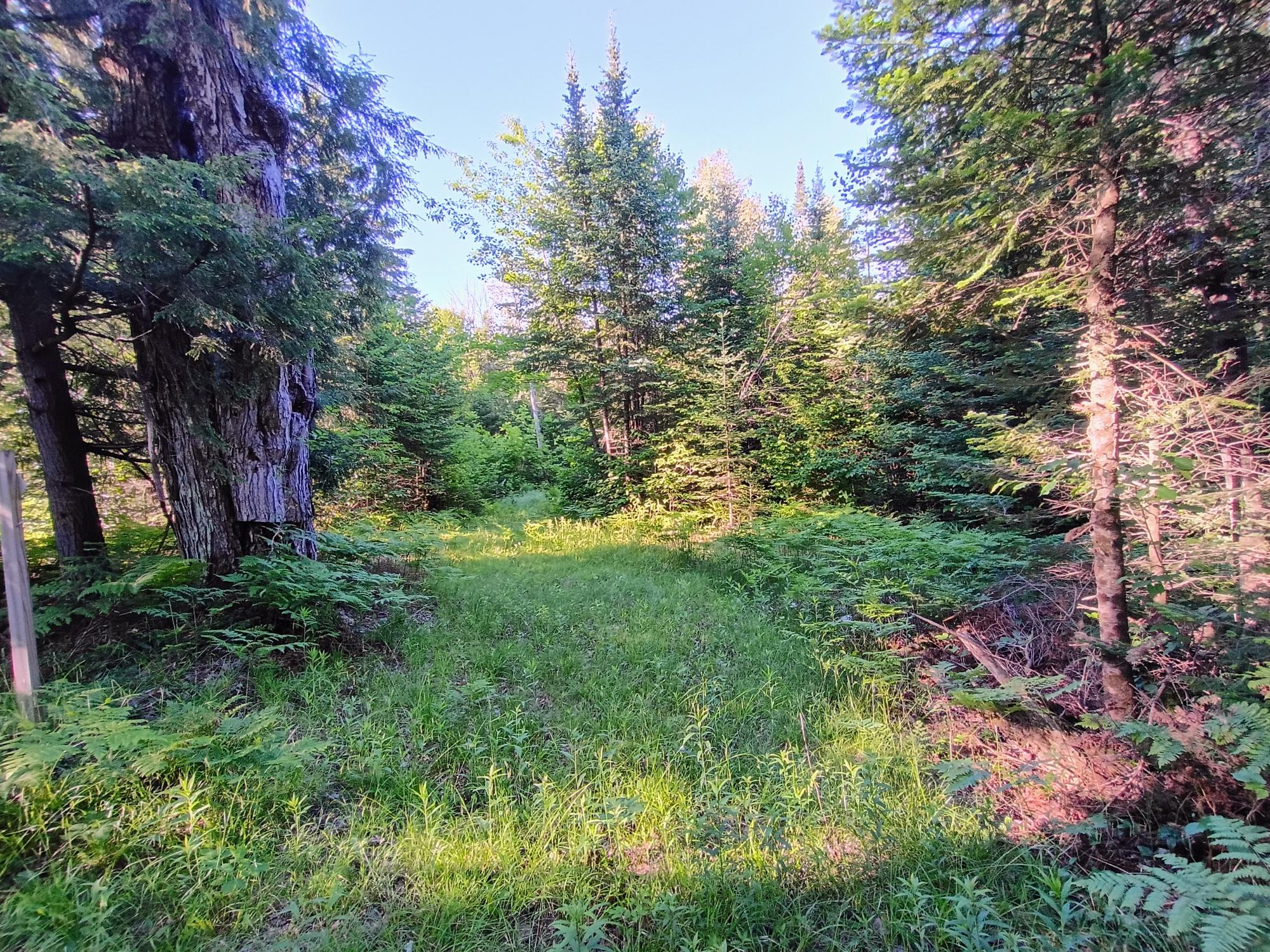 58.36 AC OLD 13 RD +/- 58.36