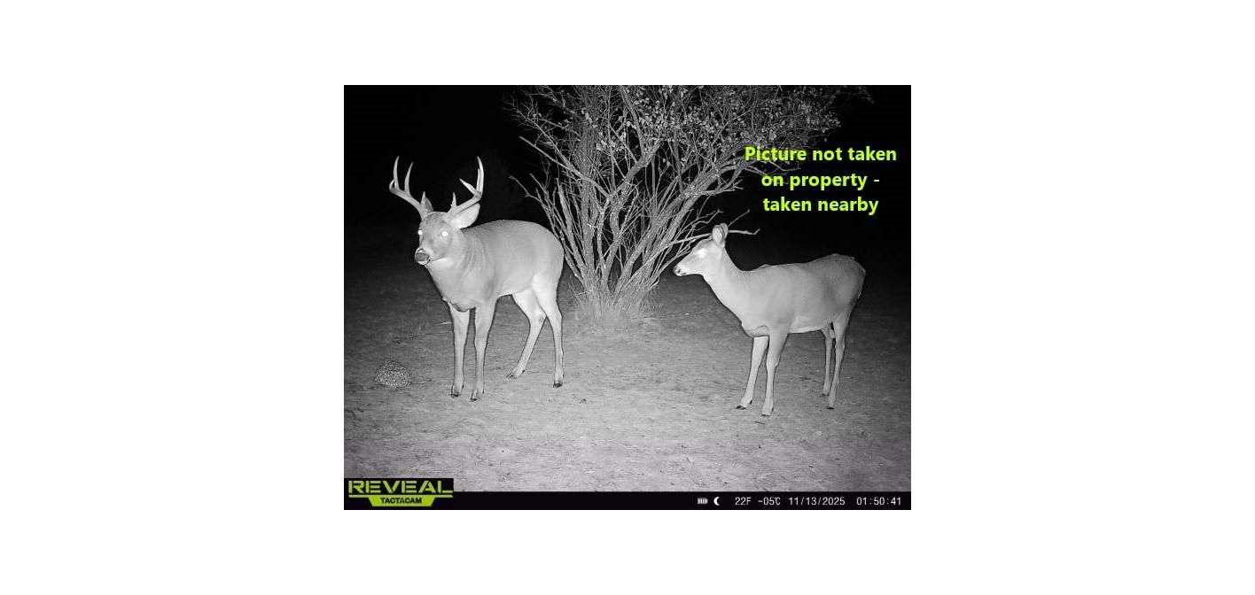 58.36 AC OLD 13 RD +/- 58.36