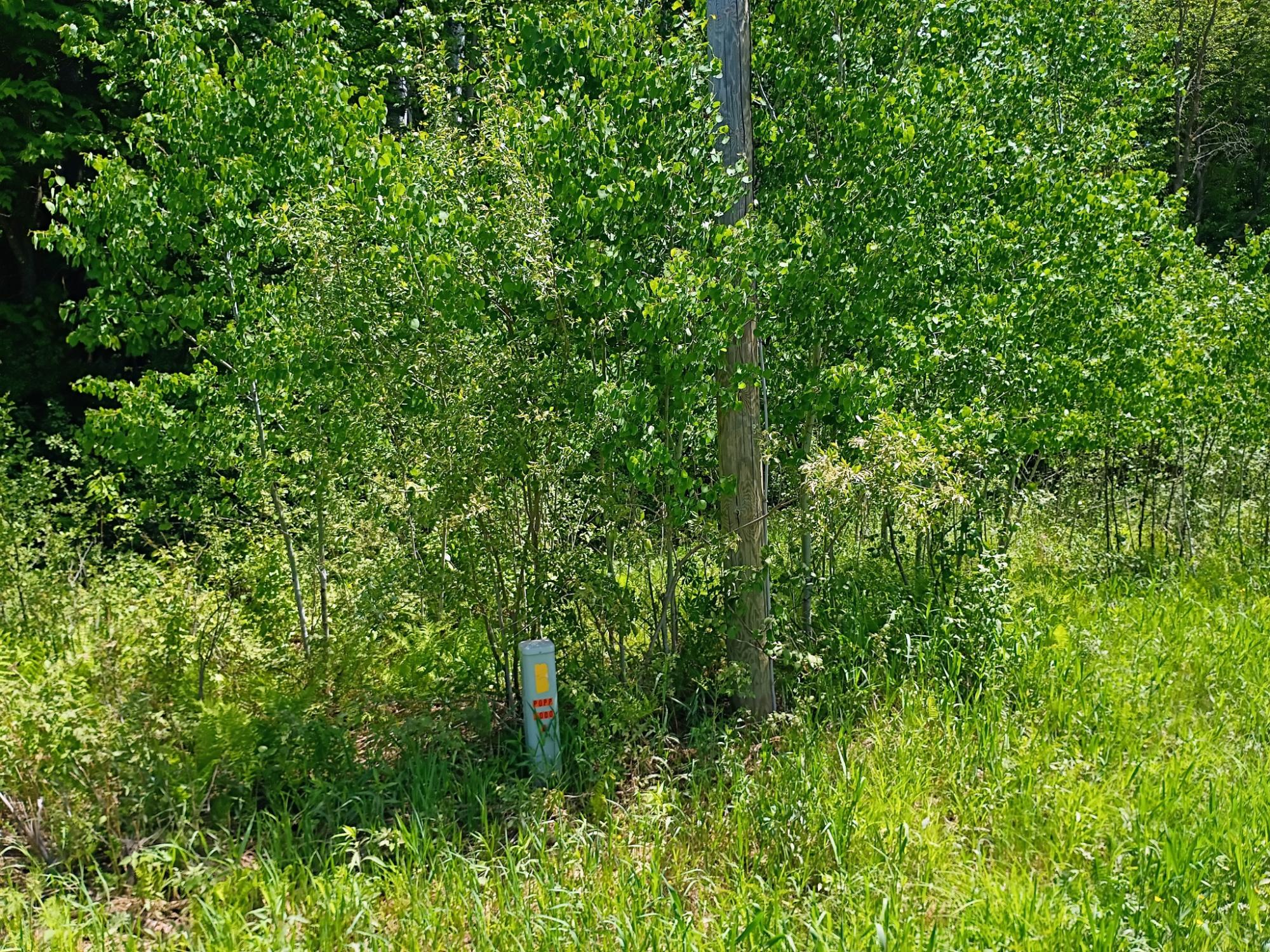 Acres BROENIMAN RD +/- 40