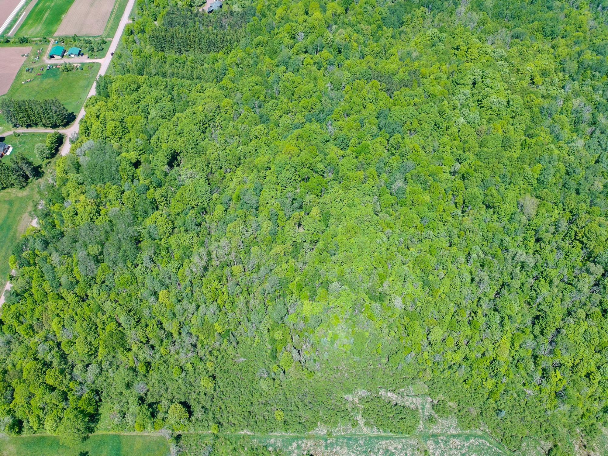 Acres BROENIMAN RD +/- 40