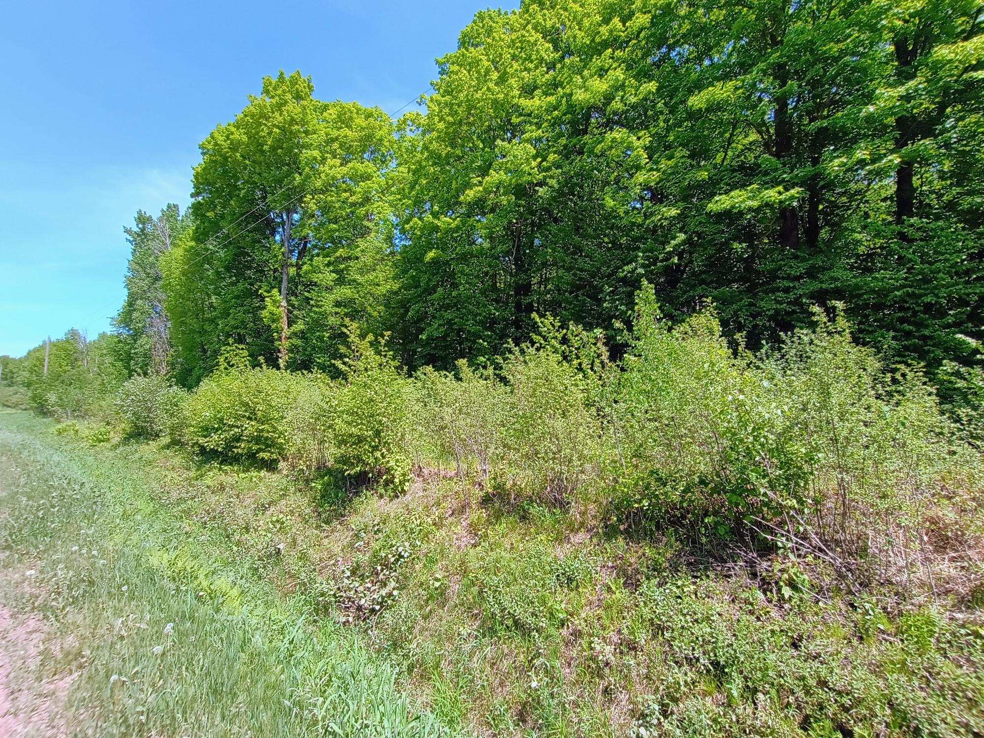 Acres BROENIMAN RD +/- 40