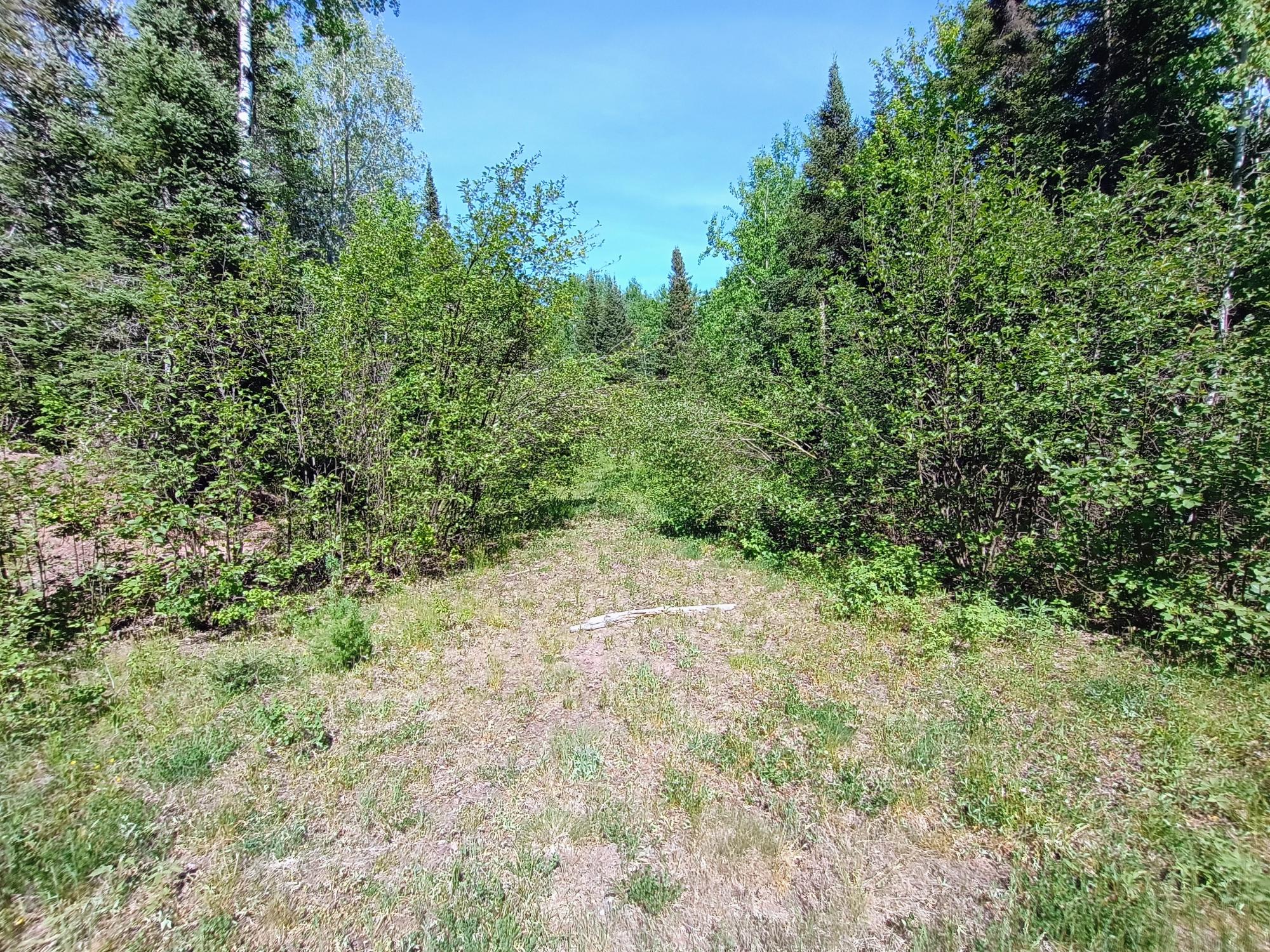 55.77 AC NEUBERGER RD +/- 55.77