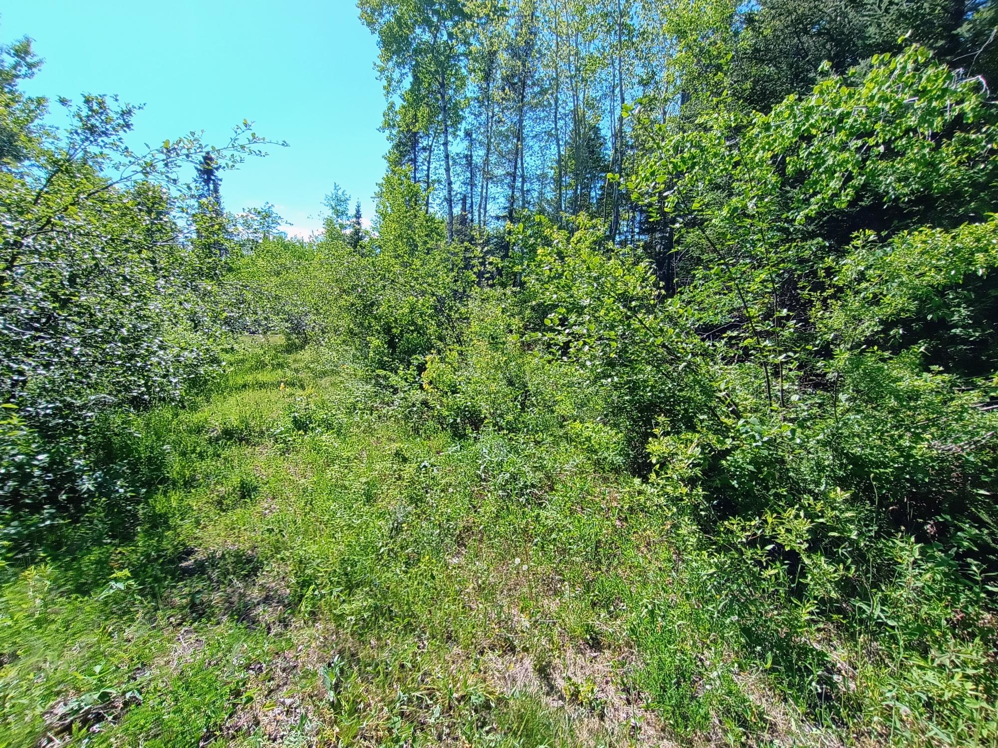 55.77 AC NEUBERGER RD +/- 55.77
