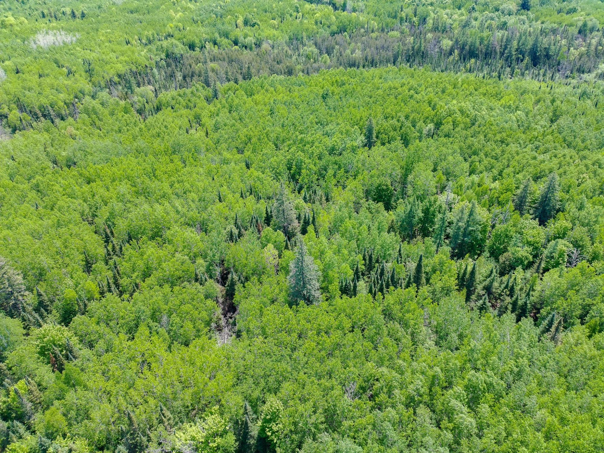 55.77 AC NEUBERGER RD +/- 55.77