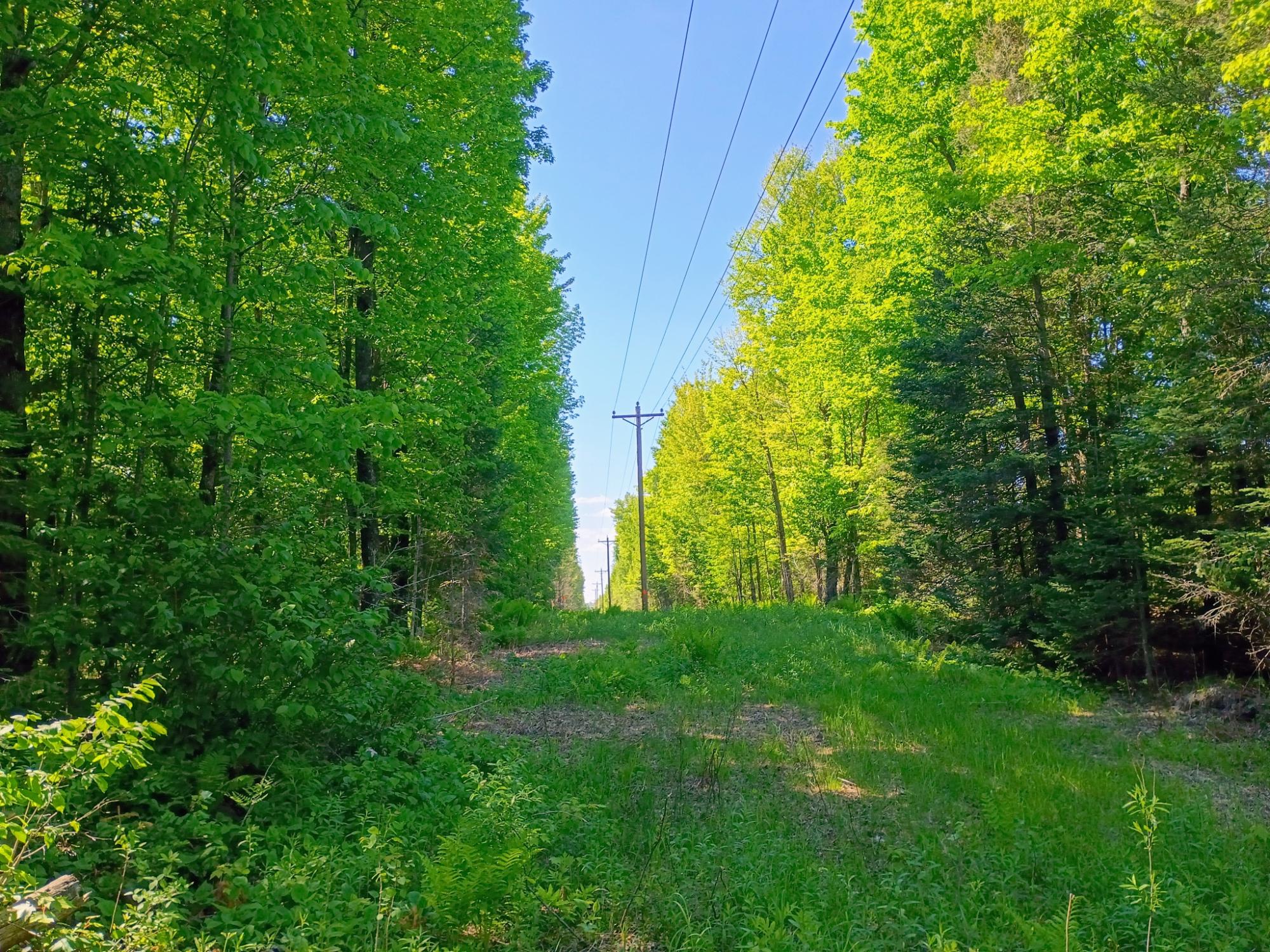 74.40 AC NEUBERGER RD +/- 74.40