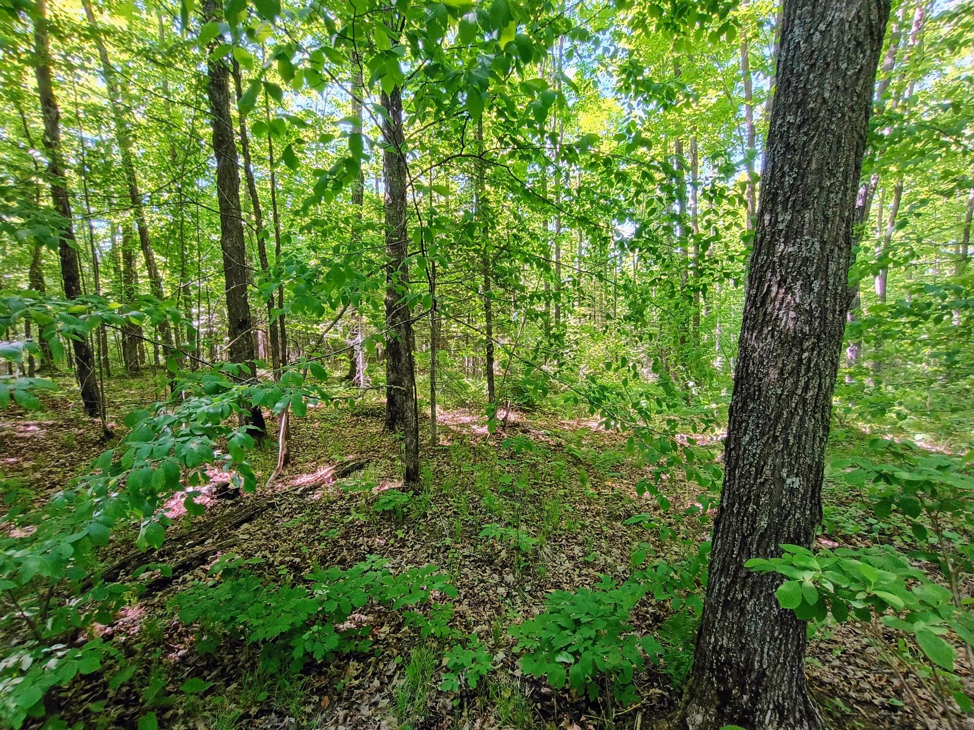 74.40 AC NEUBERGER RD +/- 74.40
