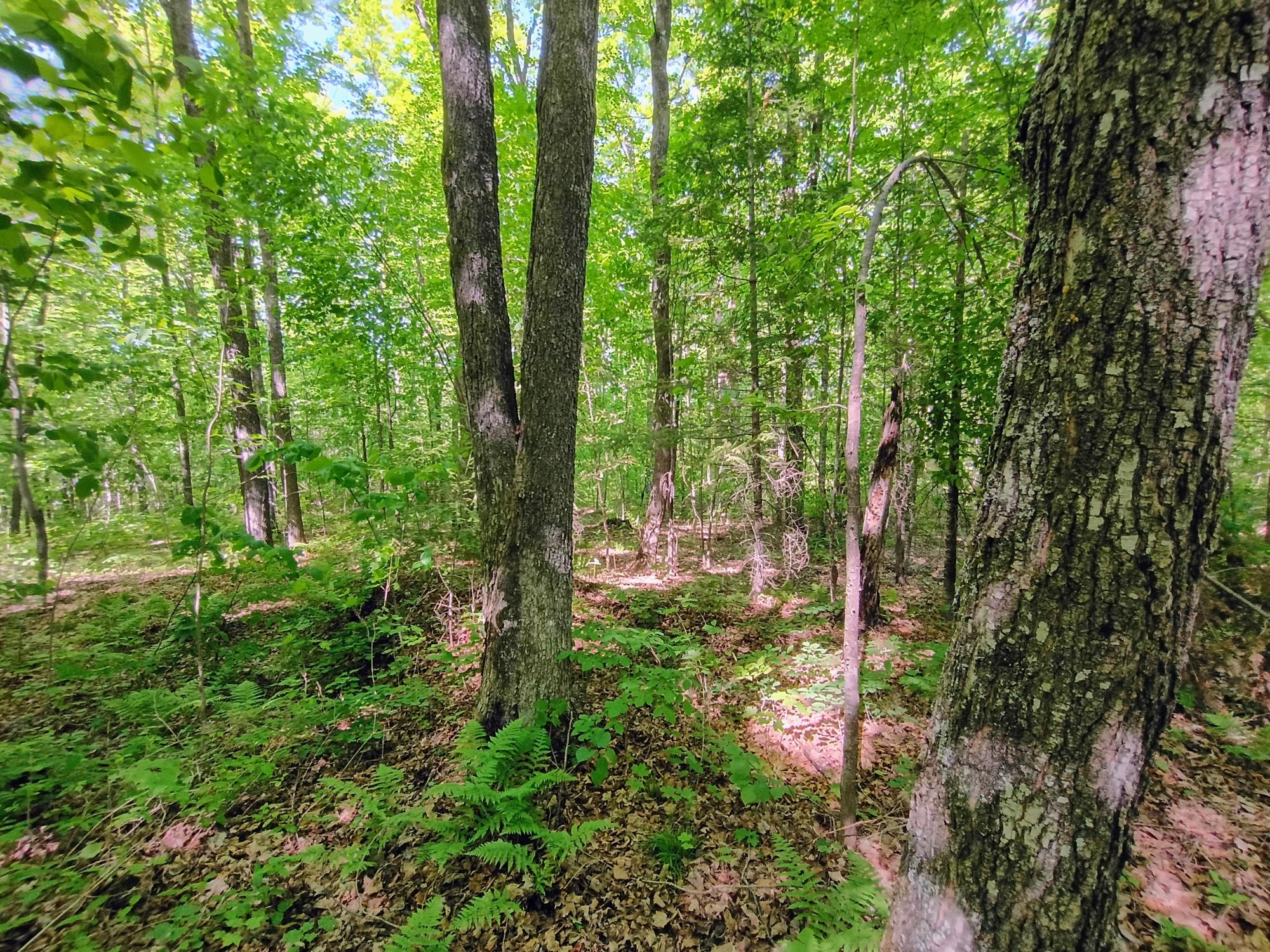 74.40 AC NEUBERGER RD +/- 74.40