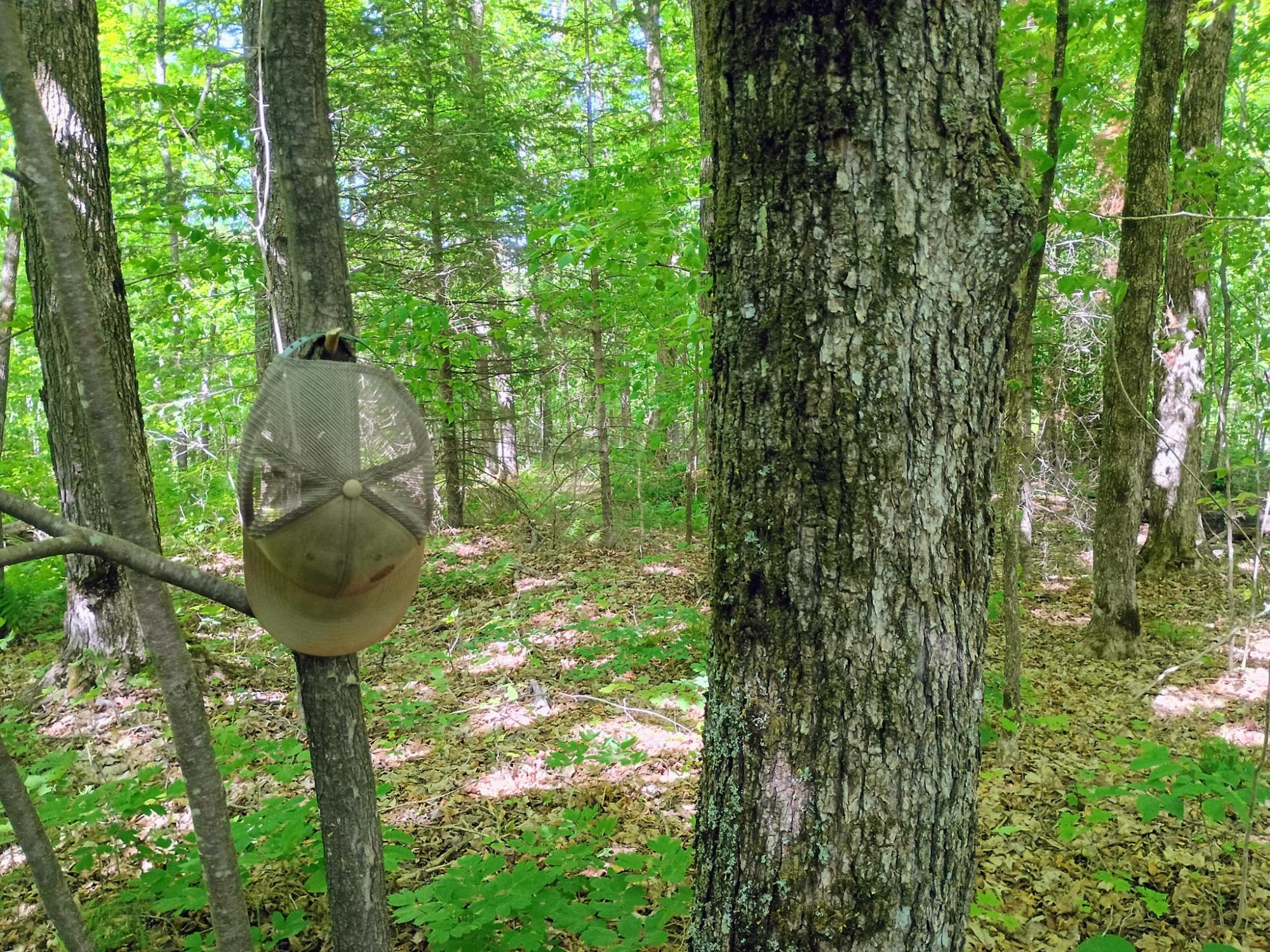 74.40 AC NEUBERGER RD +/- 74.40