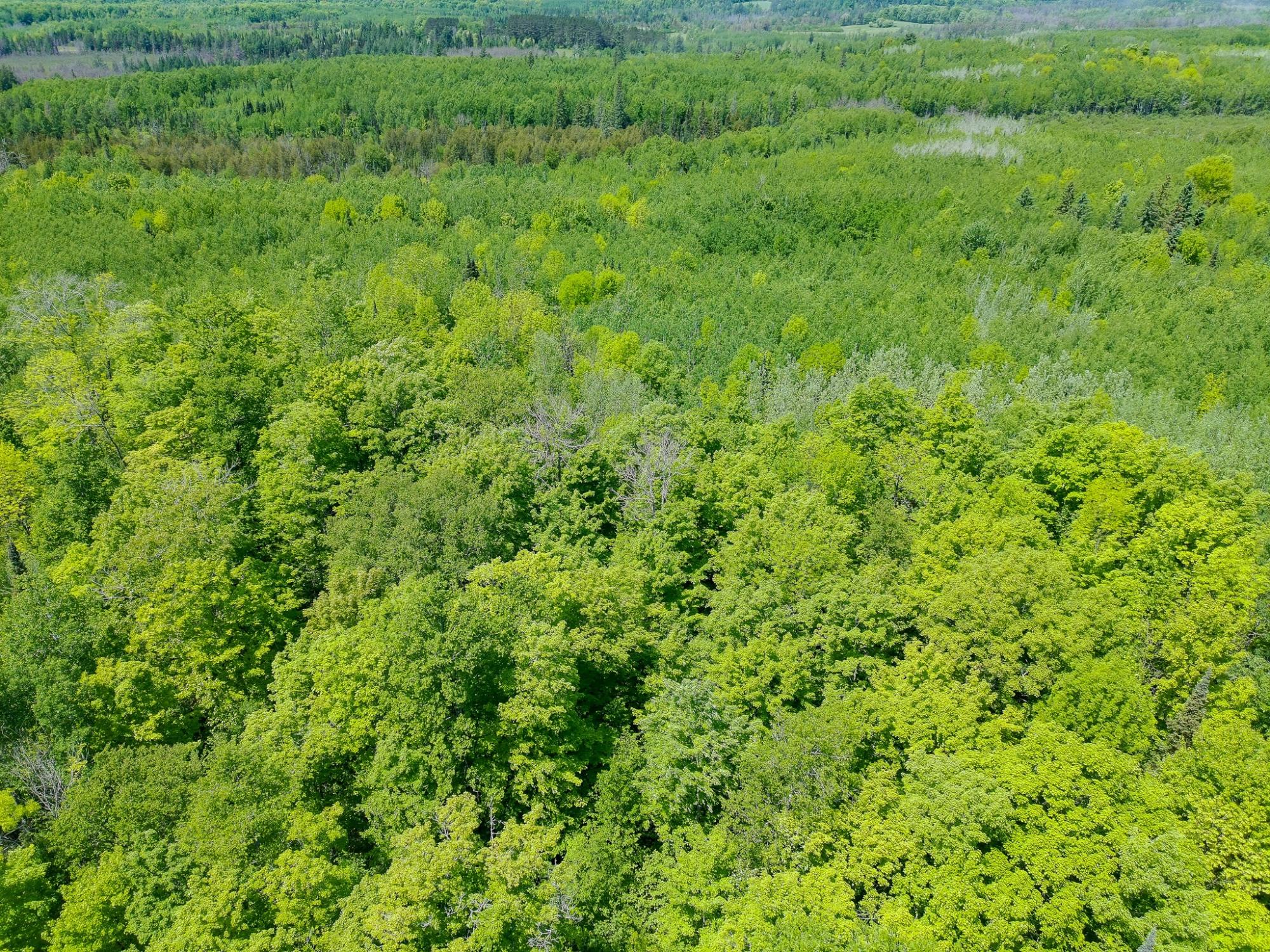 74.40 AC NEUBERGER RD +/- 74.40