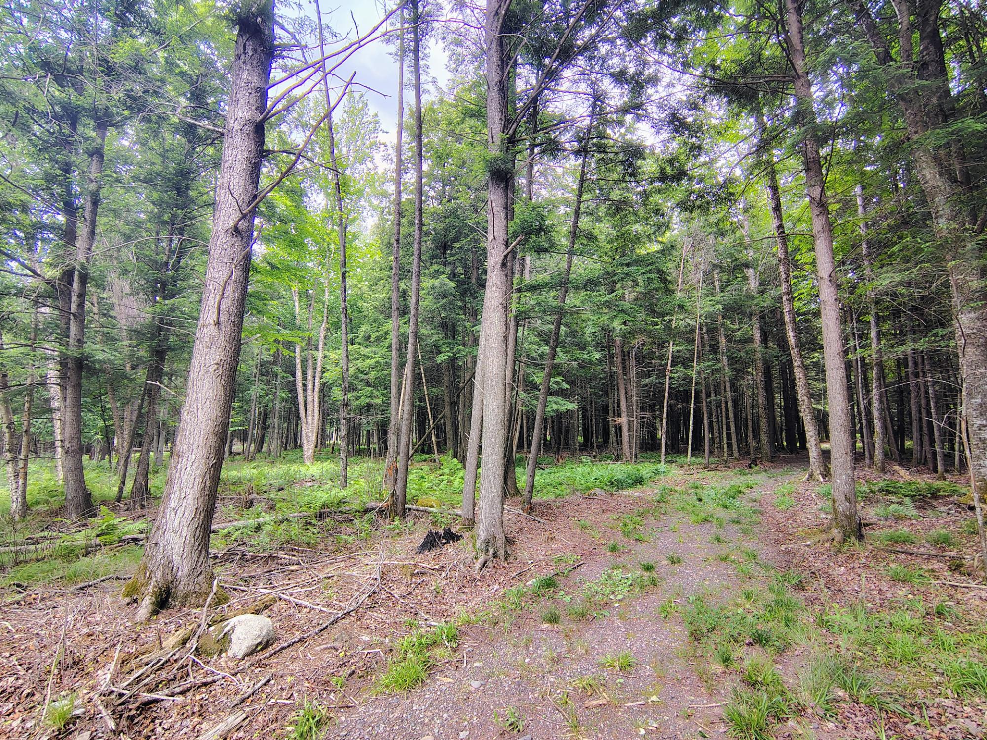 W7860 CROSS RD
