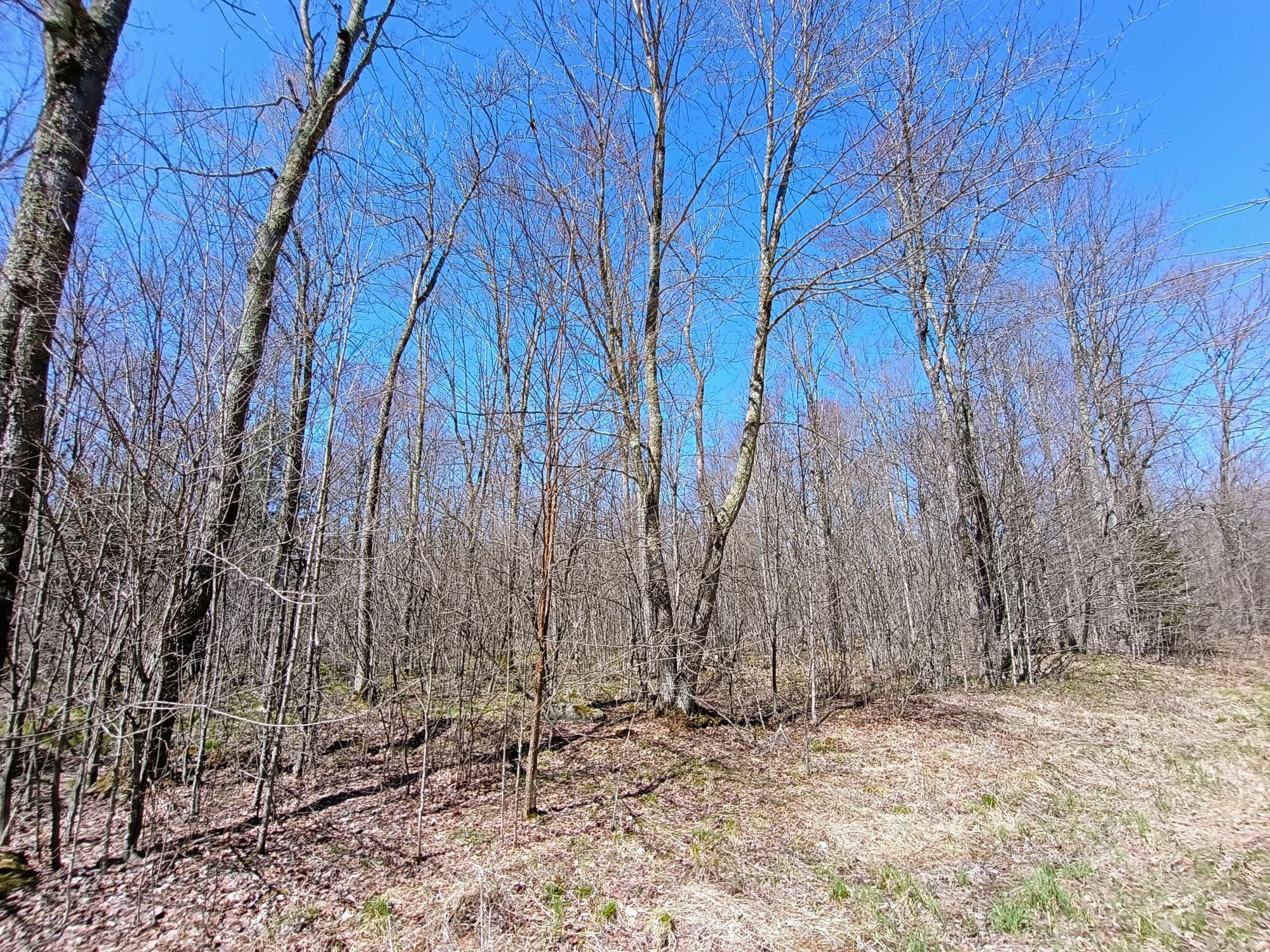 120+/- SILVER CREEK RD