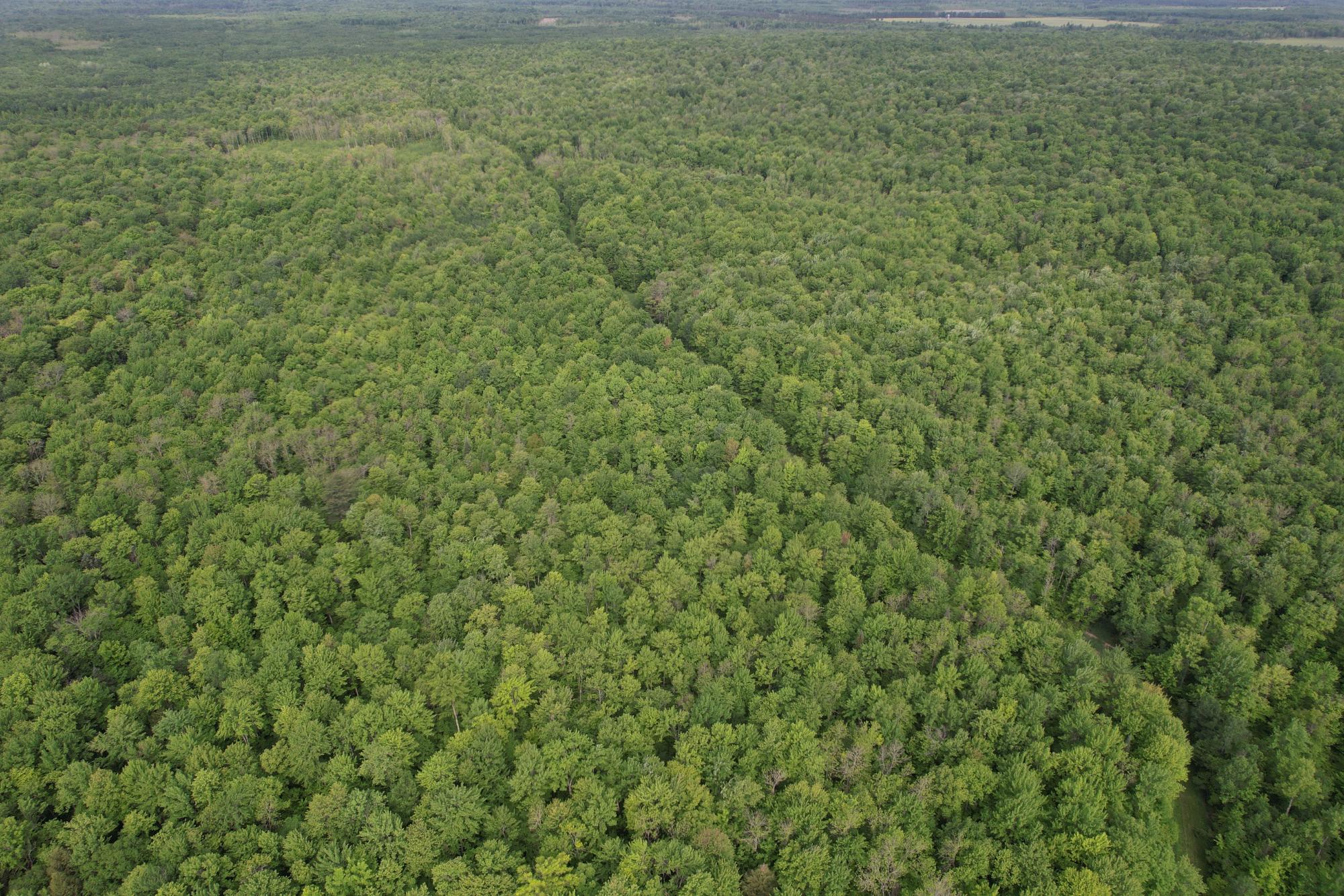 120+/- SILVER CREEK RD