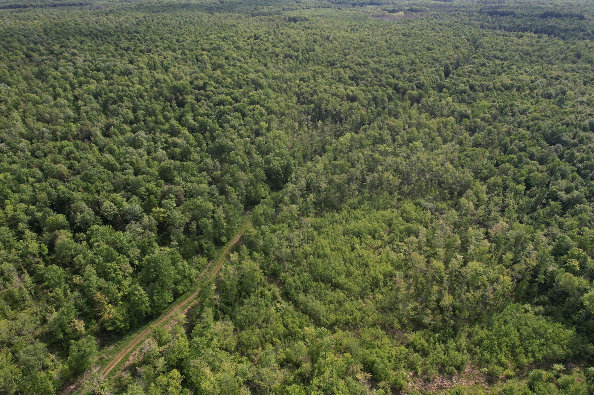 120+/- SILVER CREEK RD