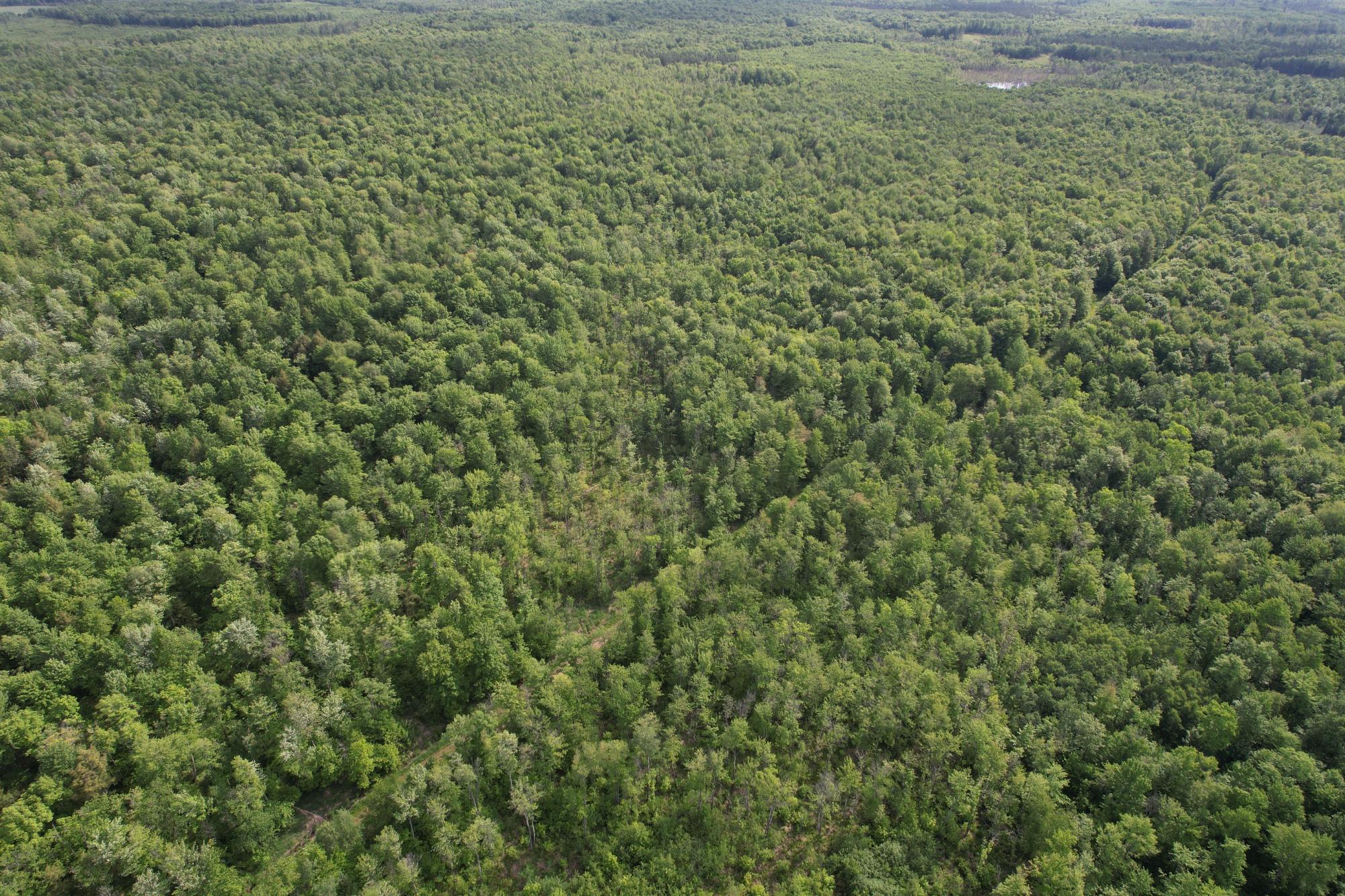 120+/- SILVER CREEK RD