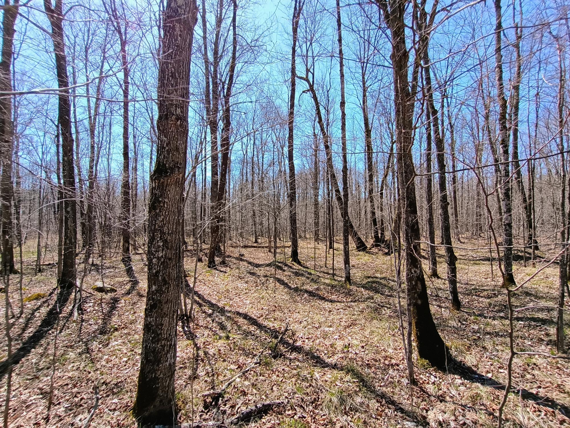 120+/- SILVER CREEK RD