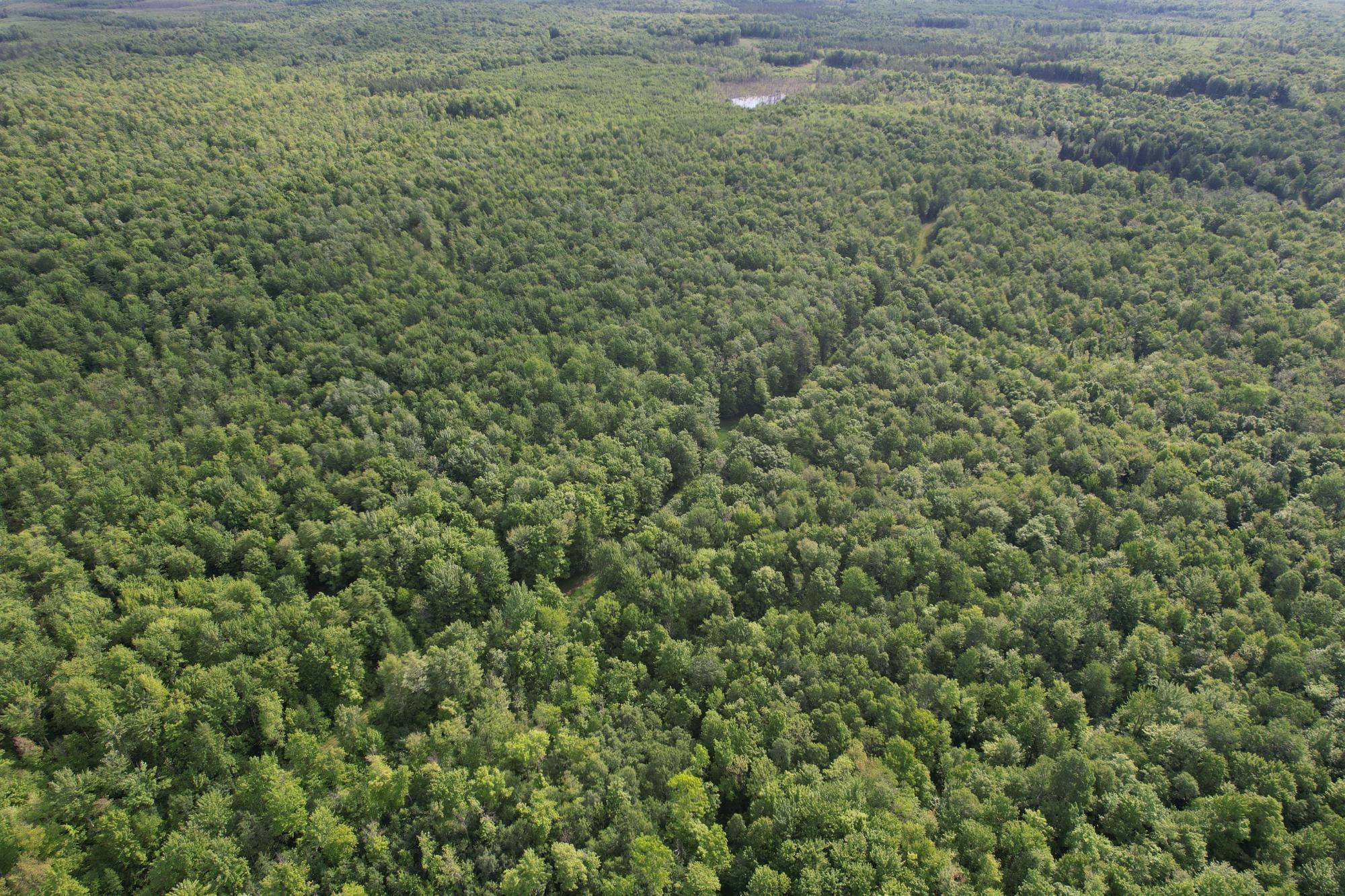 120+/- SILVER CREEK RD