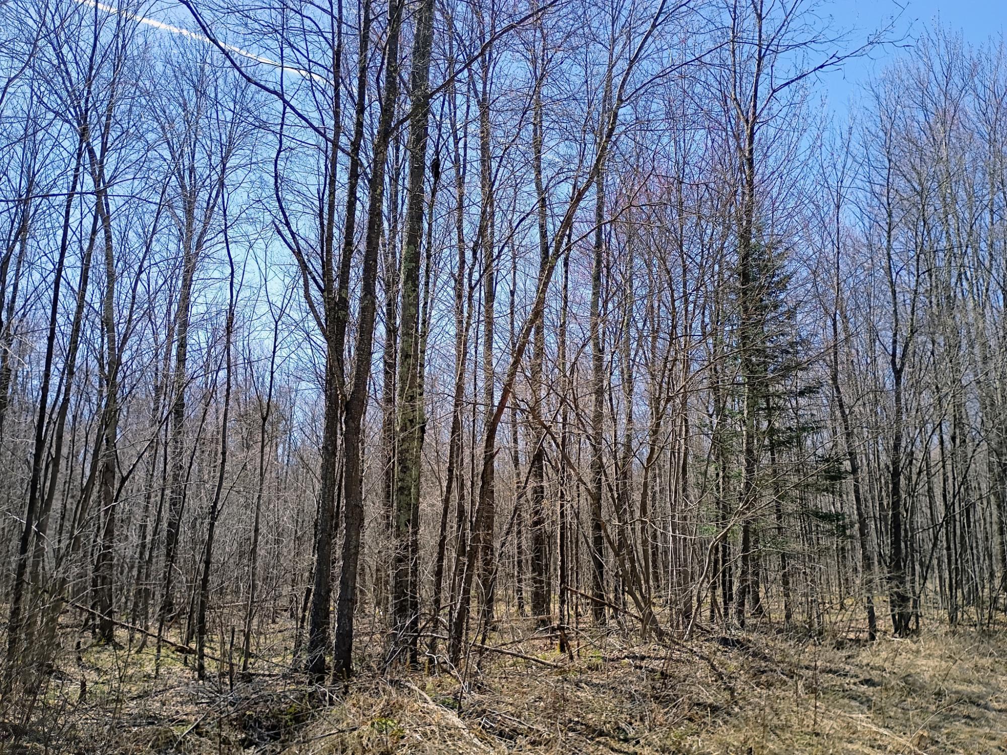 120+/- SILVER CREEK RD