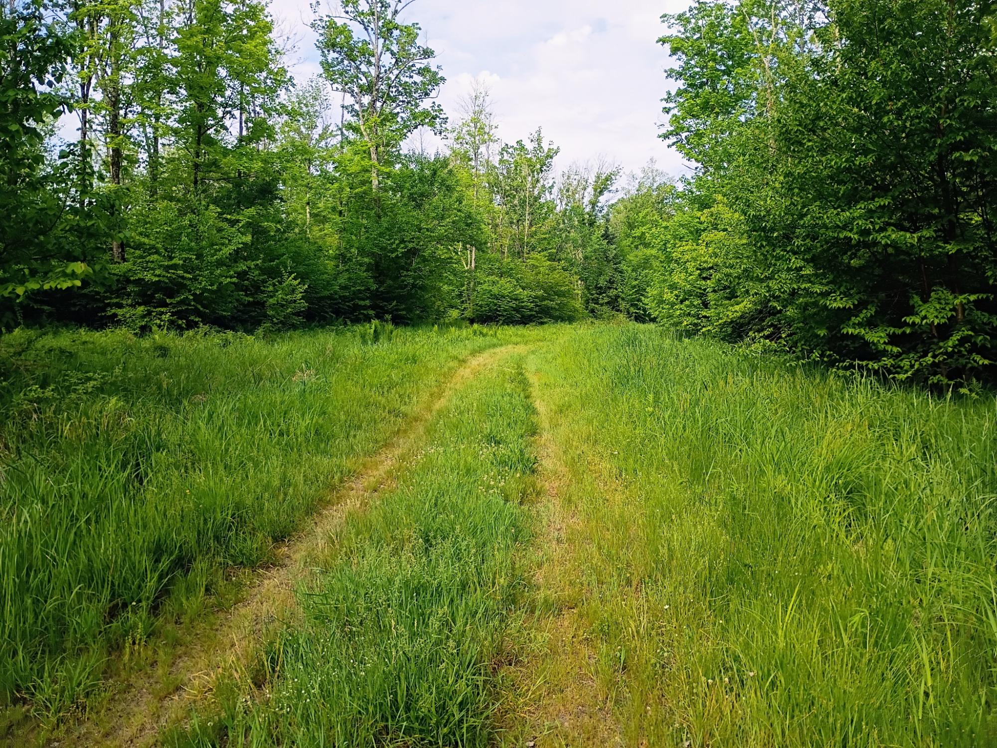 120+/- SILVER CREEK RD