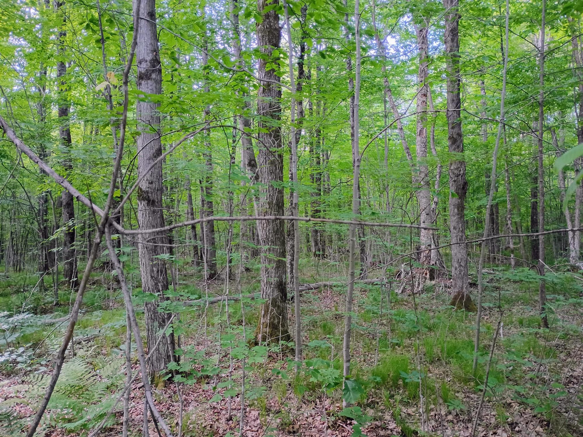 120+/- SILVER CREEK RD