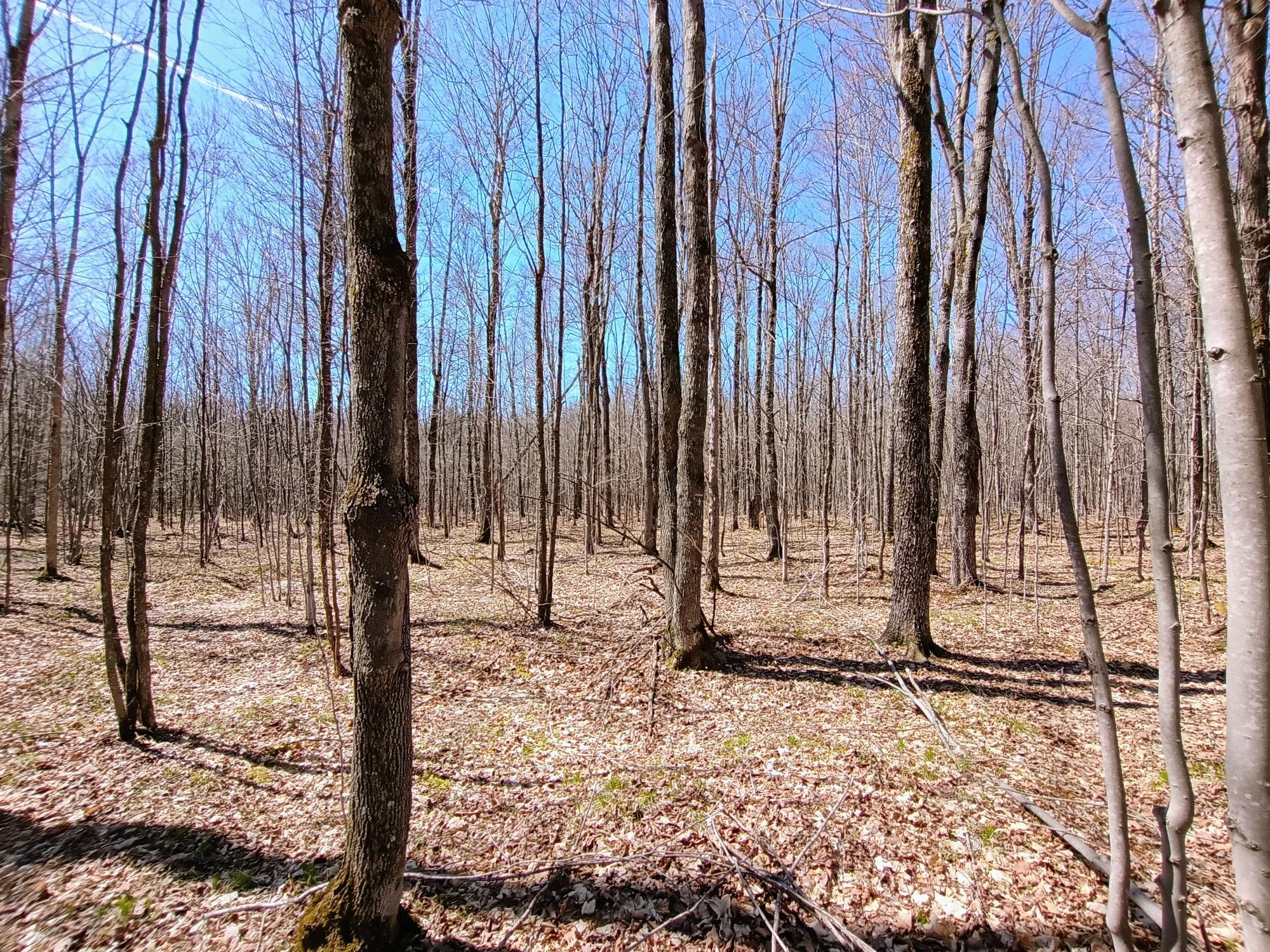 120+/- SILVER CREEK RD
