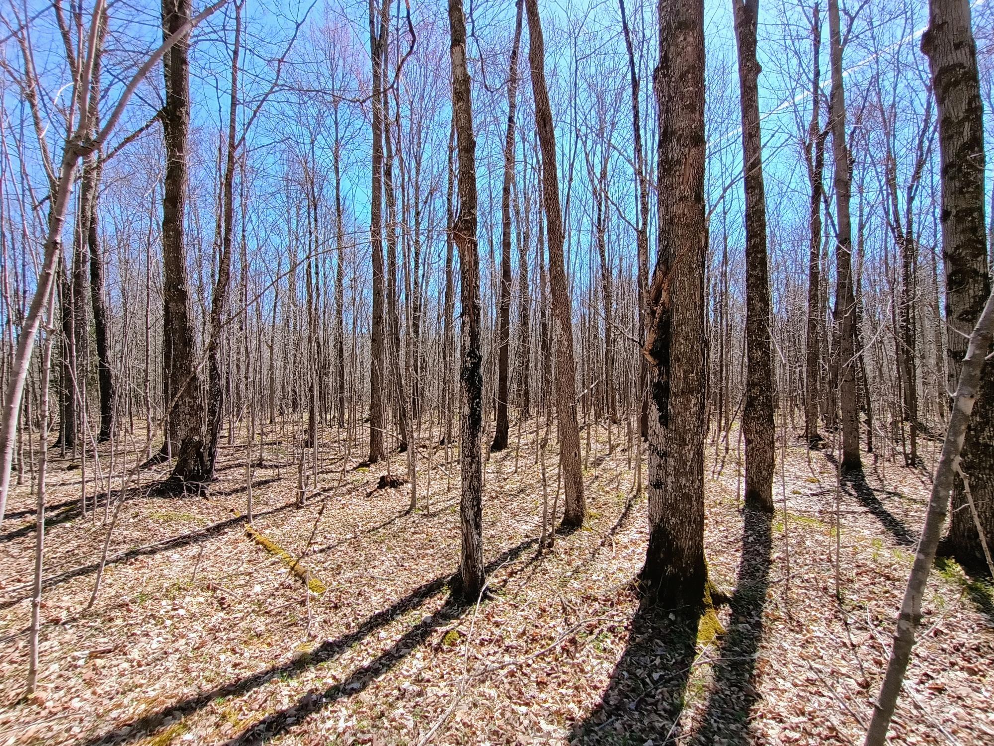 120+/- SILVER CREEK RD
