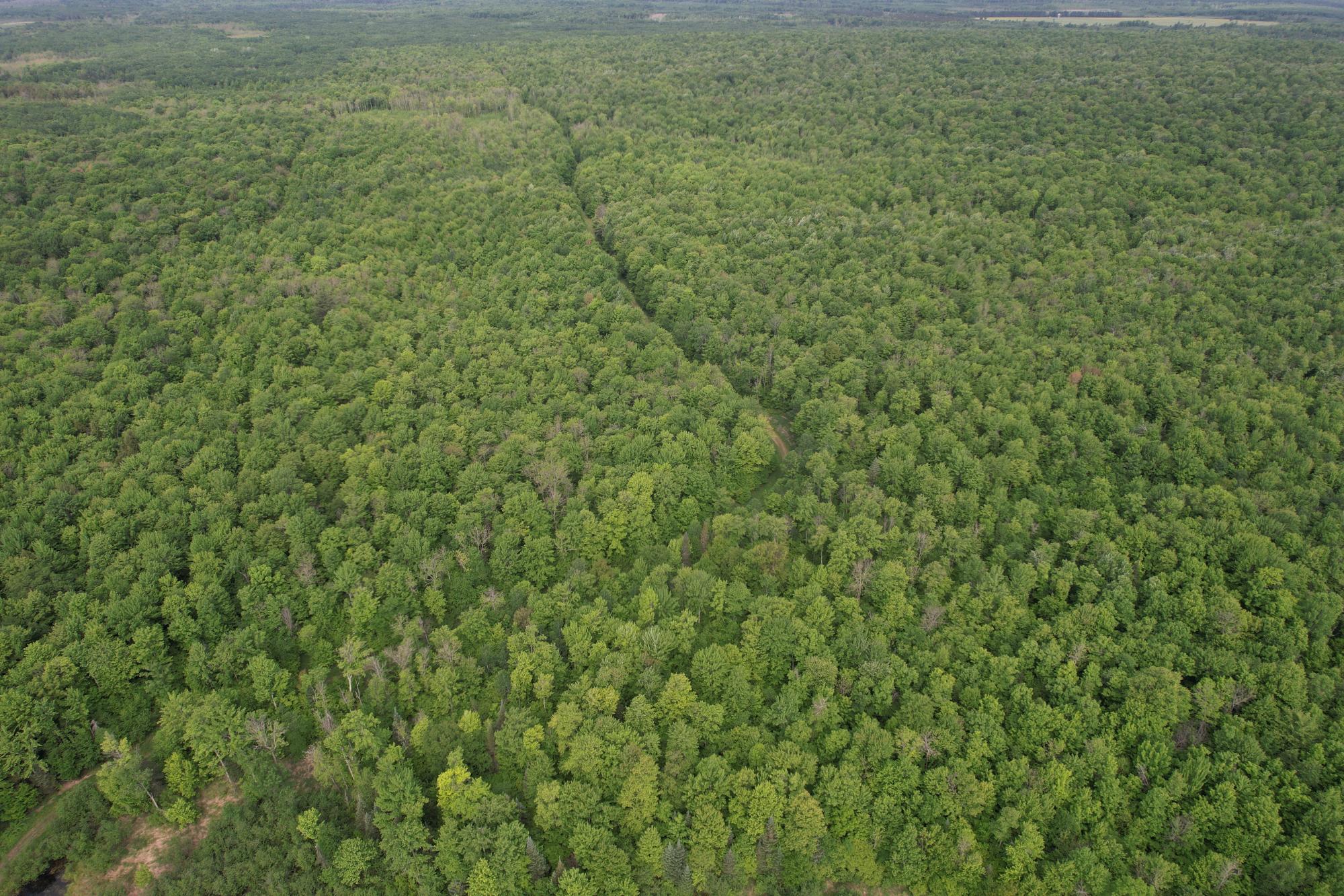 120+/- SILVER CREEK RD